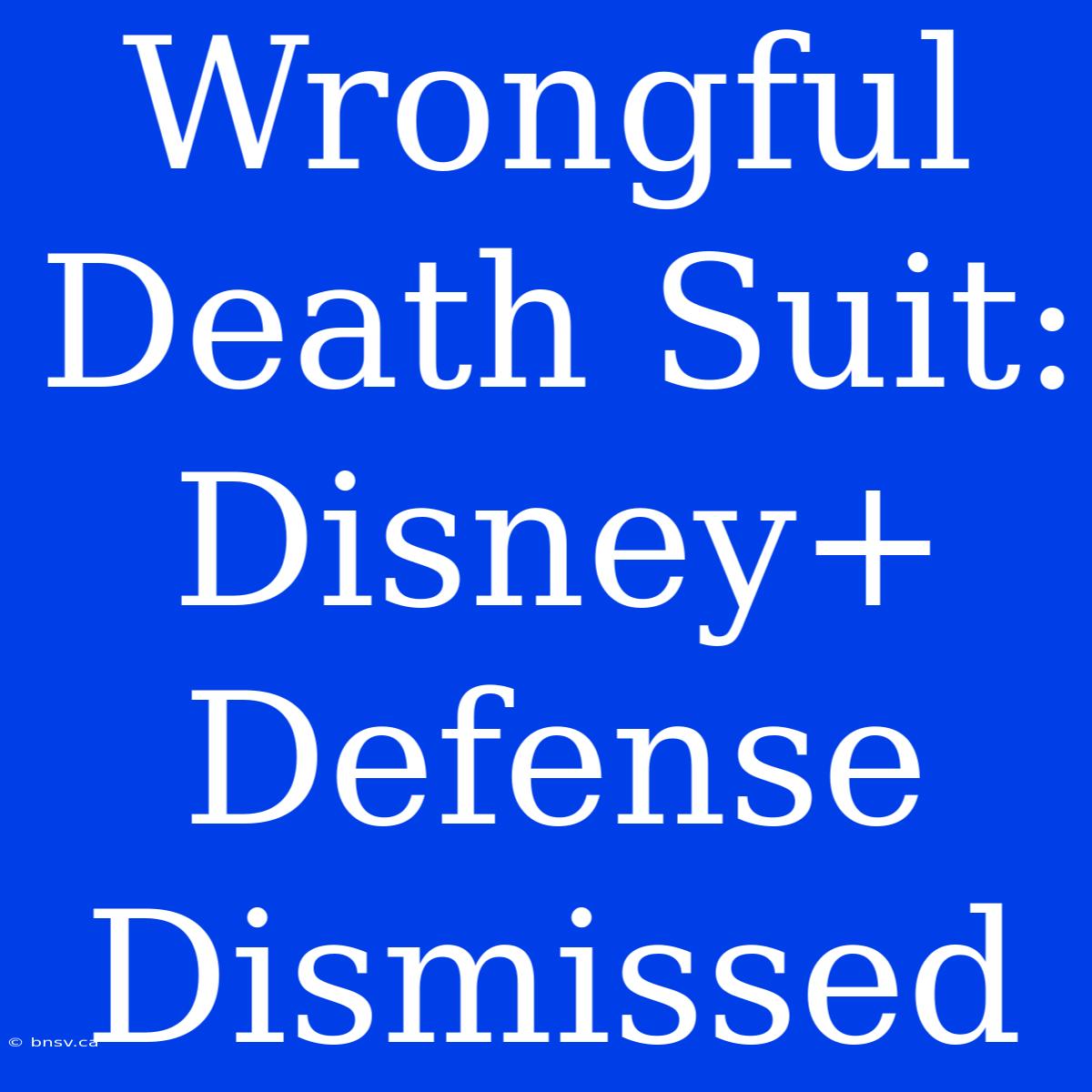 Wrongful Death Suit: Disney+ Defense Dismissed