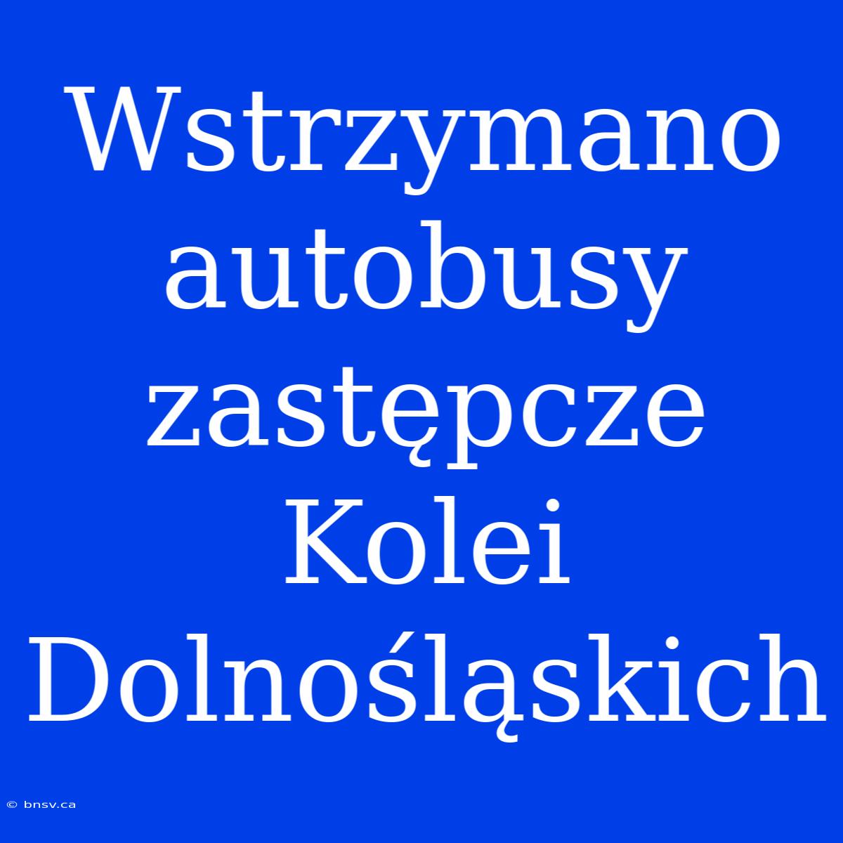 Wstrzymano Autobusy Zastępcze Kolei Dolnośląskich