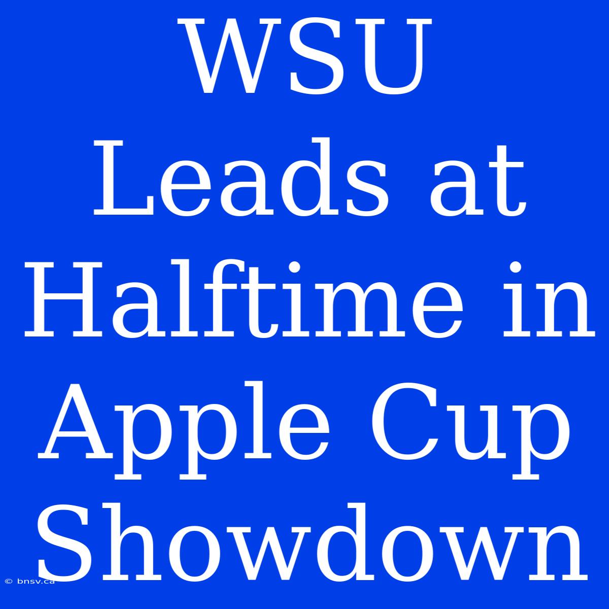 WSU Leads At Halftime In Apple Cup Showdown