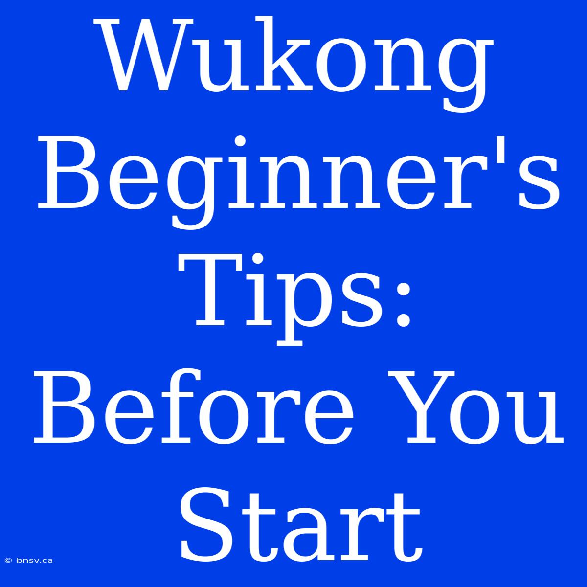 Wukong Beginner's Tips: Before You Start