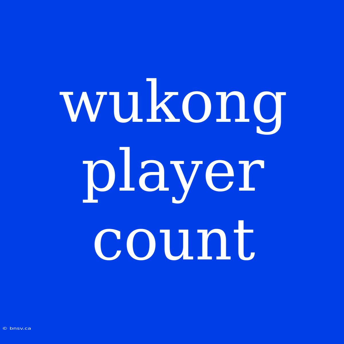 Wukong Player Count