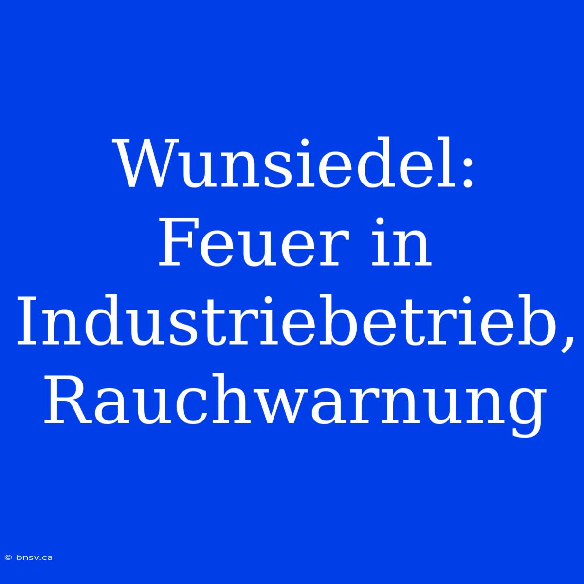 Wunsiedel: Feuer In Industriebetrieb, Rauchwarnung