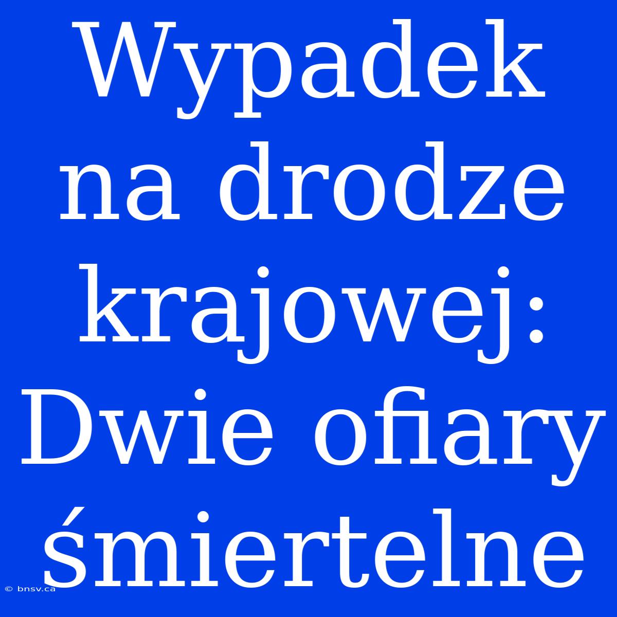 Wypadek Na Drodze Krajowej: Dwie Ofiary Śmiertelne