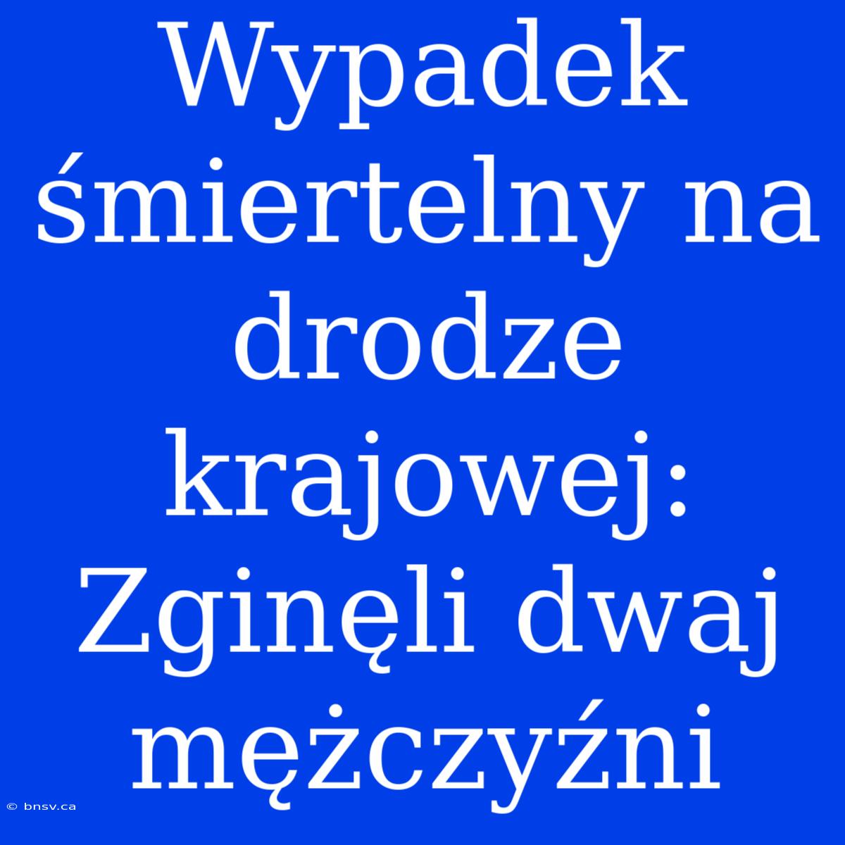 Wypadek Śmiertelny Na Drodze Krajowej: Zginęli Dwaj Mężczyźni