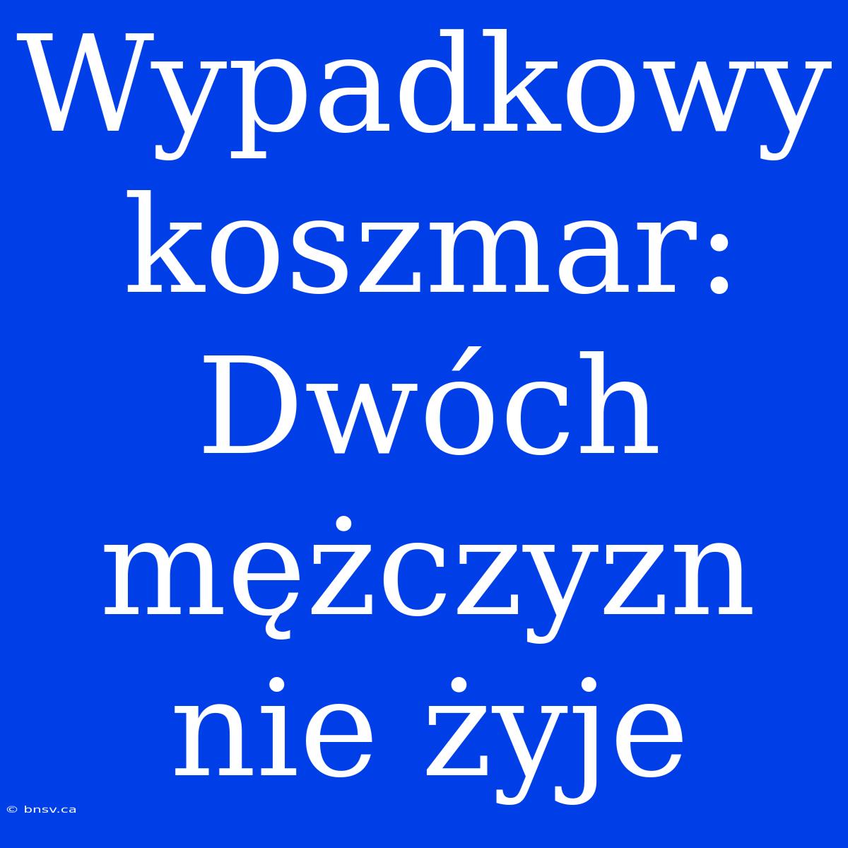 Wypadkowy Koszmar: Dwóch Mężczyzn Nie Żyje