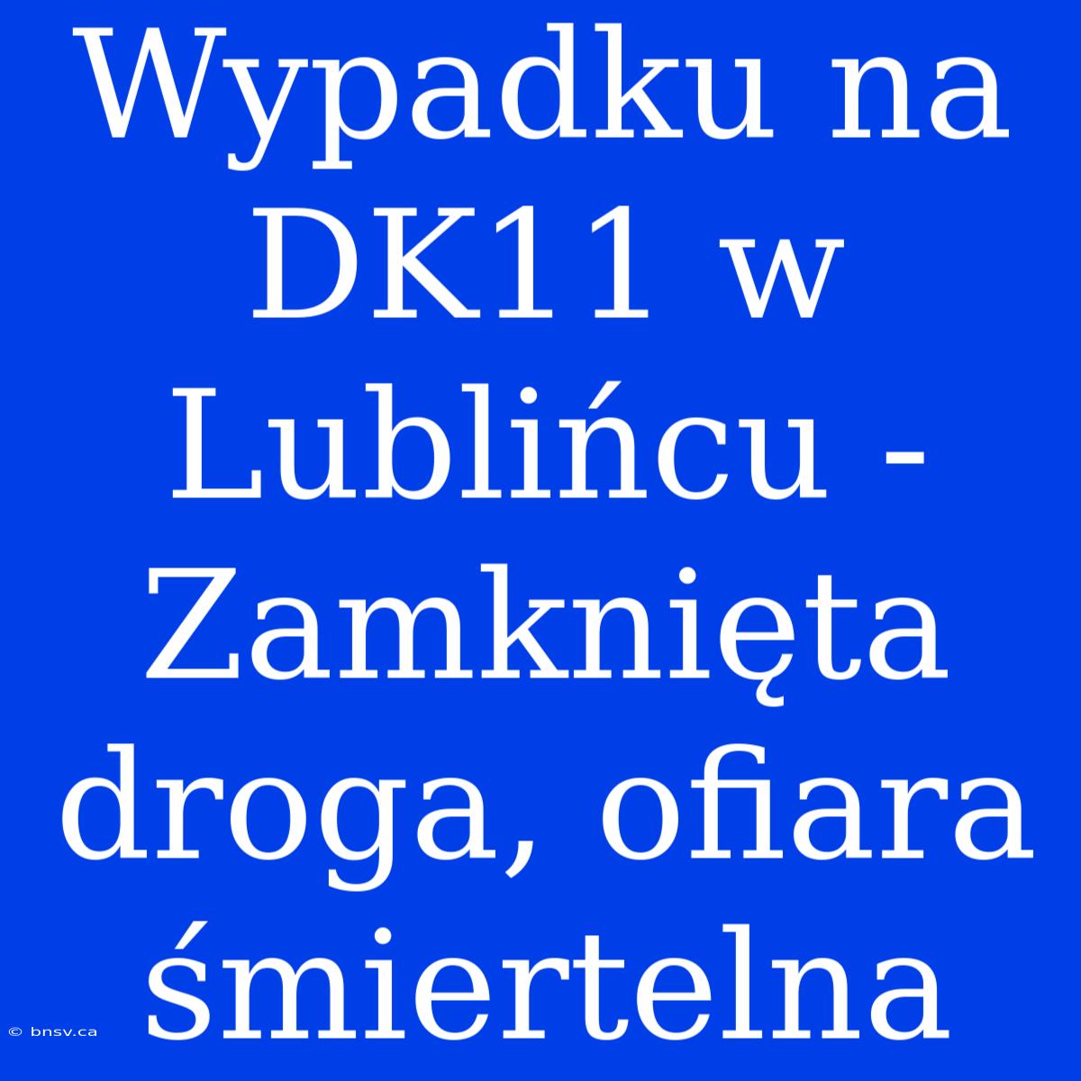 Wypadku Na DK11 W Lublińcu - Zamknięta Droga, Ofiara Śmiertelna