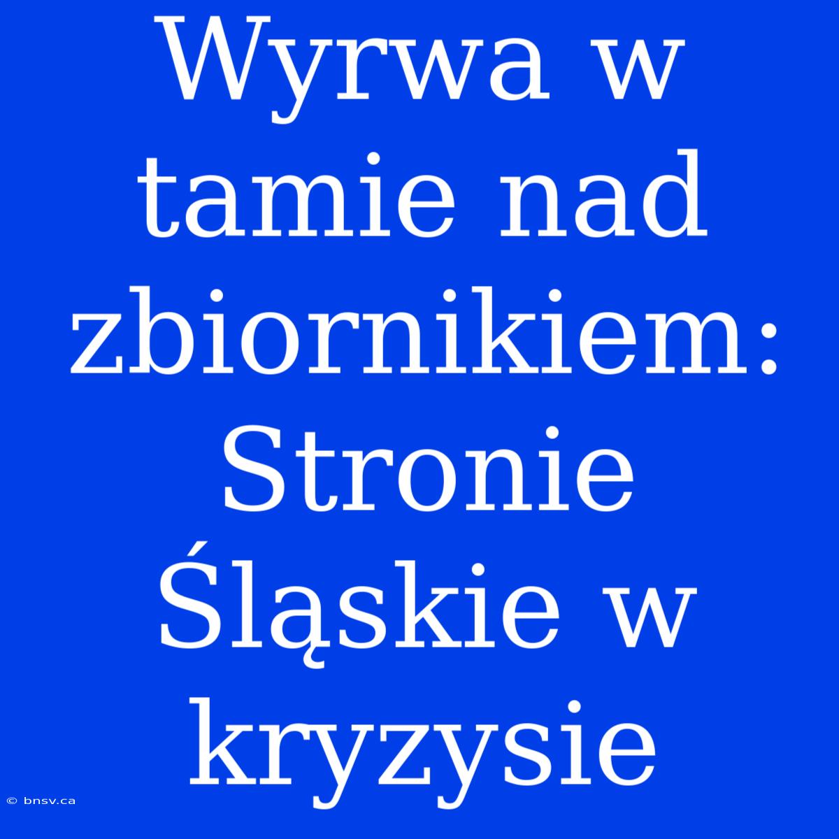 Wyrwa W Tamie Nad Zbiornikiem: Stronie Śląskie W Kryzysie