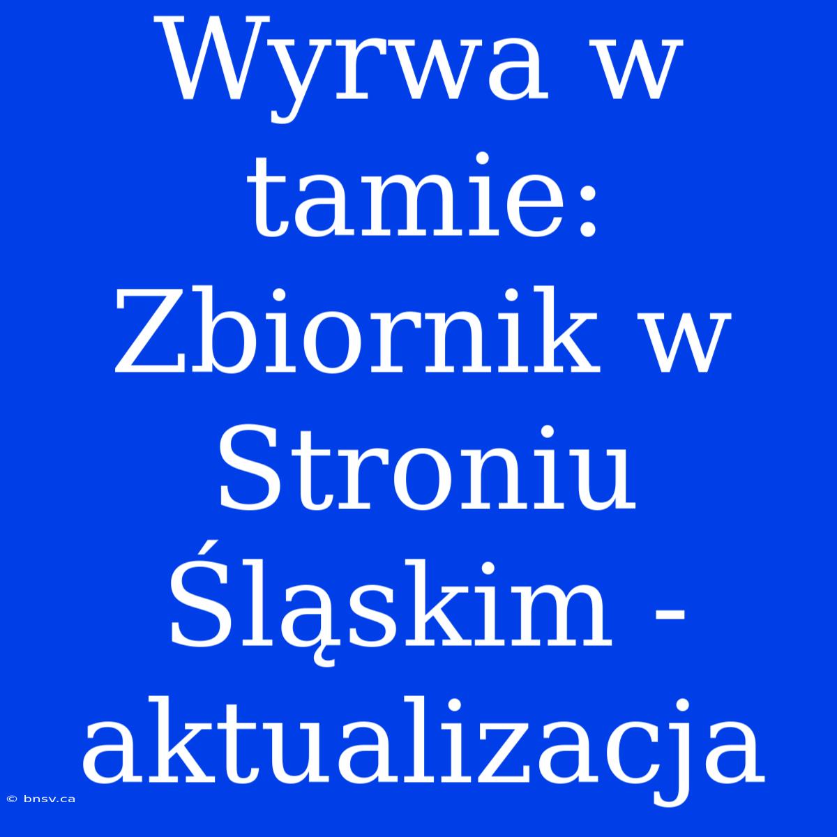 Wyrwa W Tamie: Zbiornik W Stroniu Śląskim - Aktualizacja