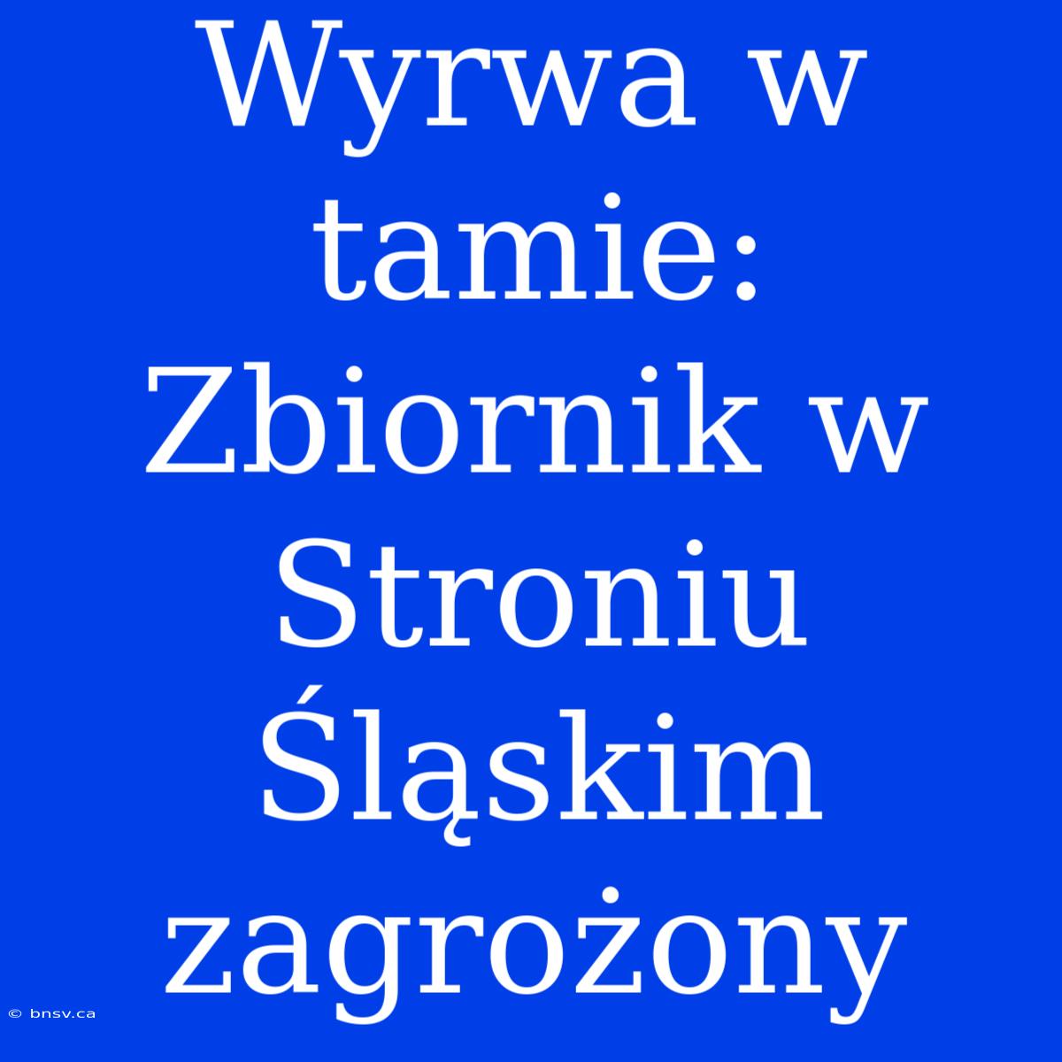 Wyrwa W Tamie: Zbiornik W Stroniu Śląskim Zagrożony