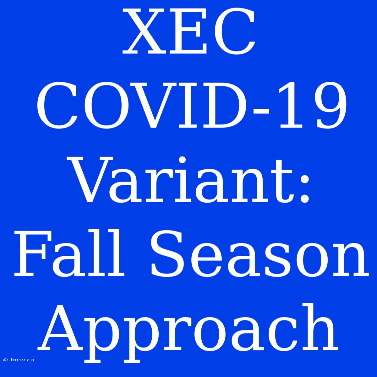 XEC COVID-19 Variant: Fall Season Approach