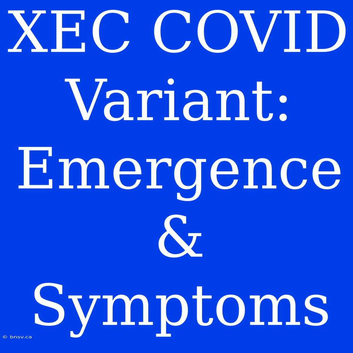 XEC COVID Variant:  Emergence & Symptoms