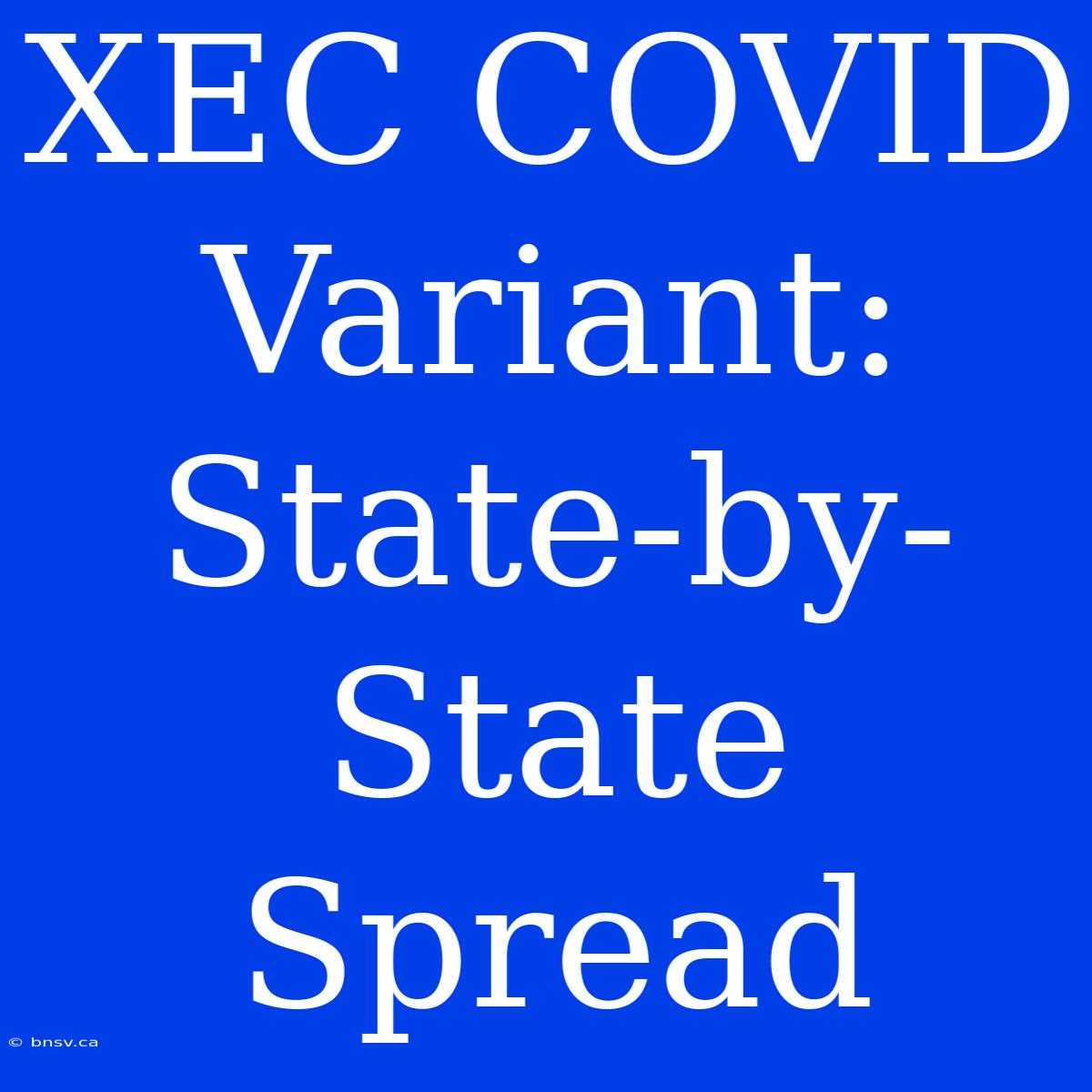 XEC COVID Variant: State-by-State Spread