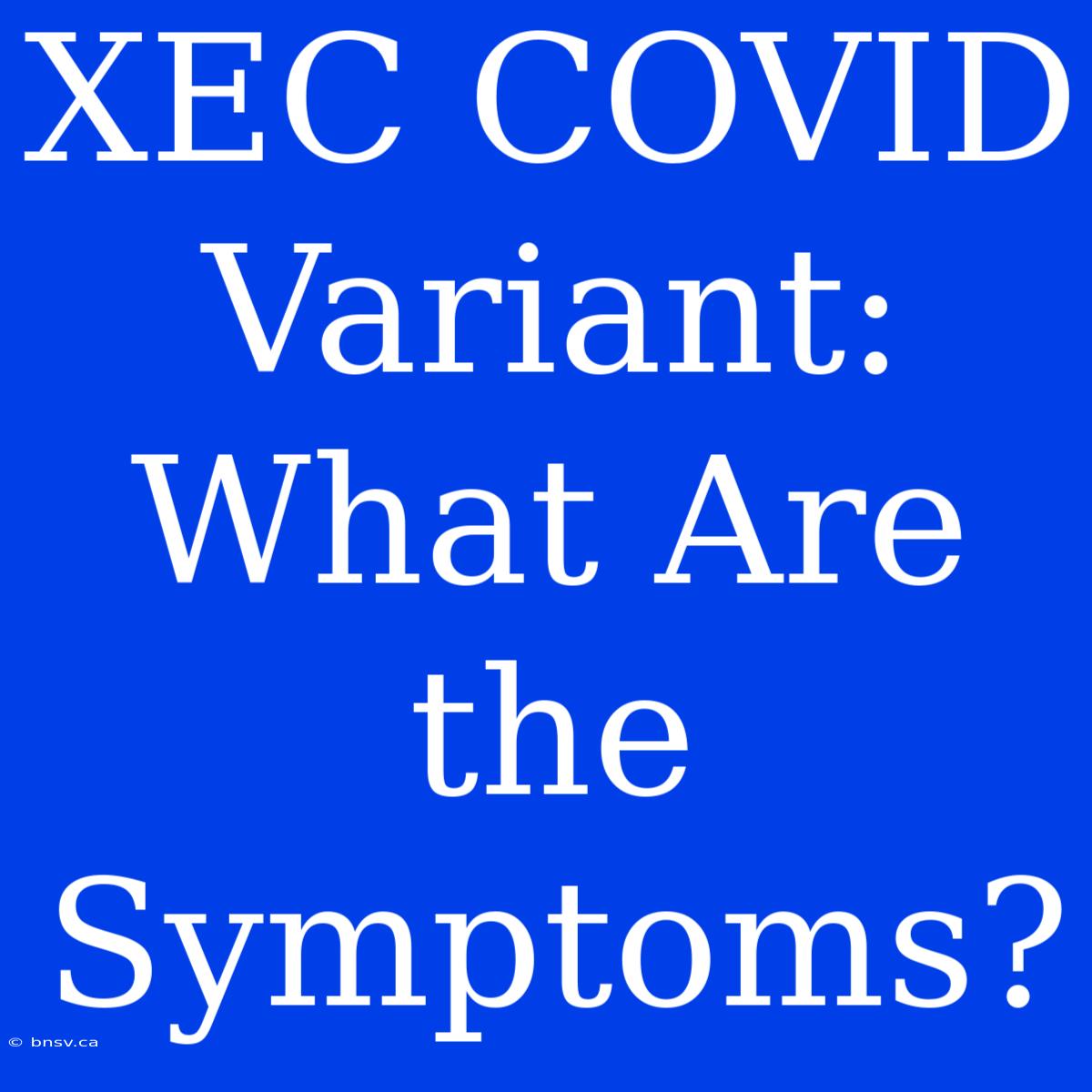 XEC COVID Variant: What Are The Symptoms?