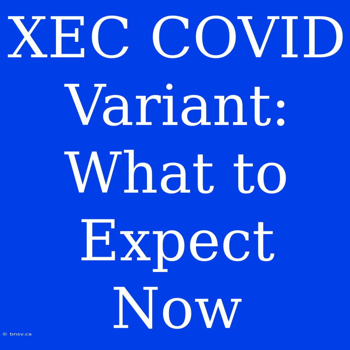 XEC COVID Variant: What To Expect Now