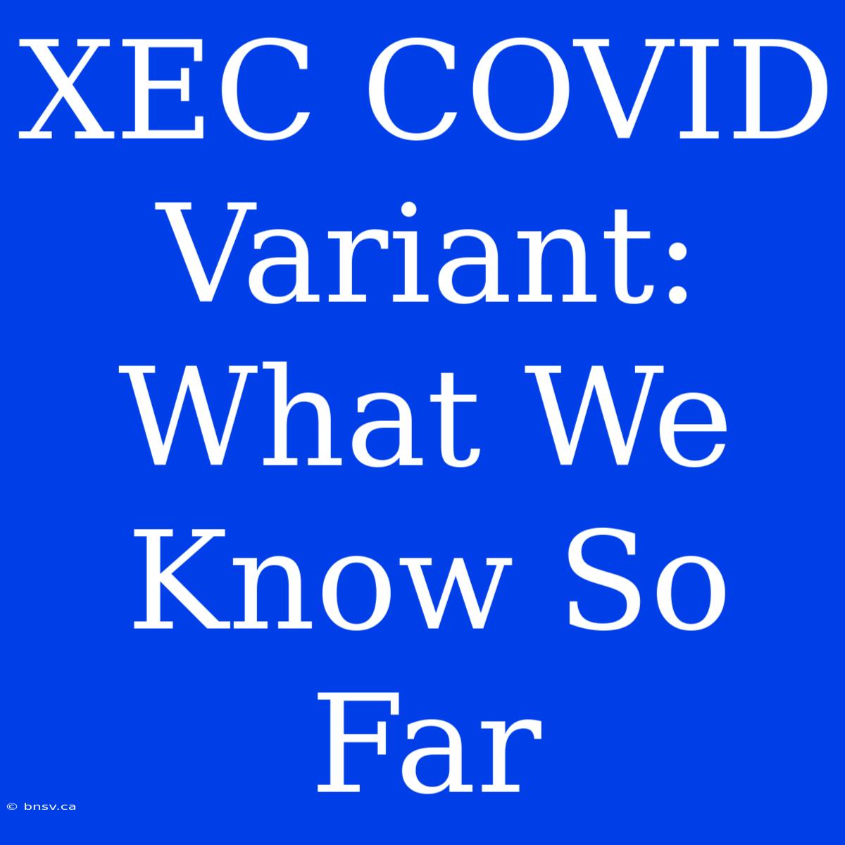 XEC COVID Variant: What We Know So Far