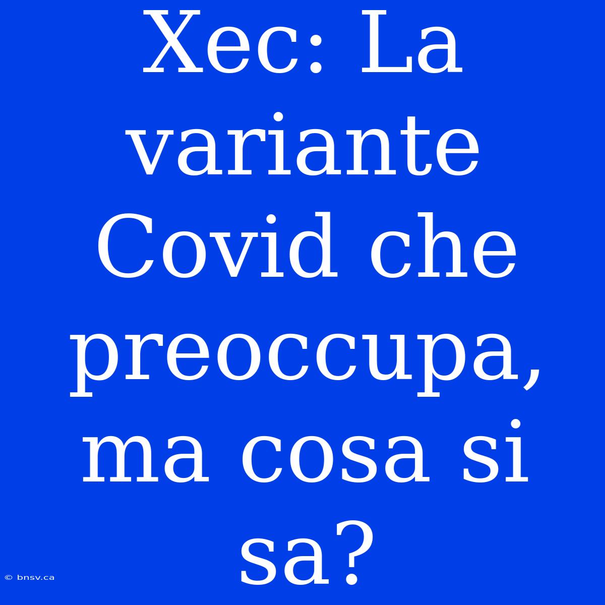 Xec: La Variante Covid Che Preoccupa, Ma Cosa Si Sa?