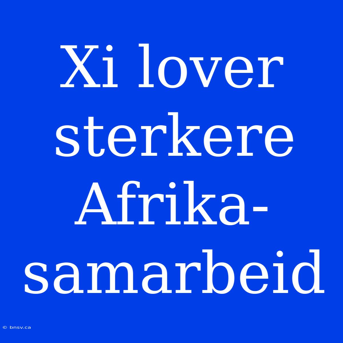 Xi Lover Sterkere Afrika-samarbeid