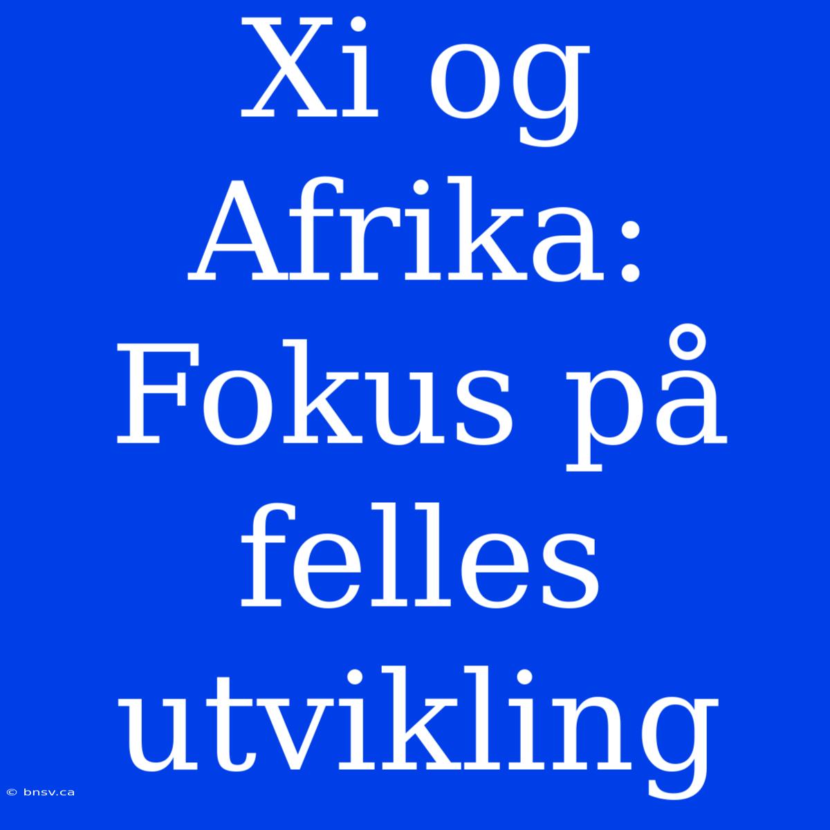 Xi Og Afrika: Fokus På Felles Utvikling