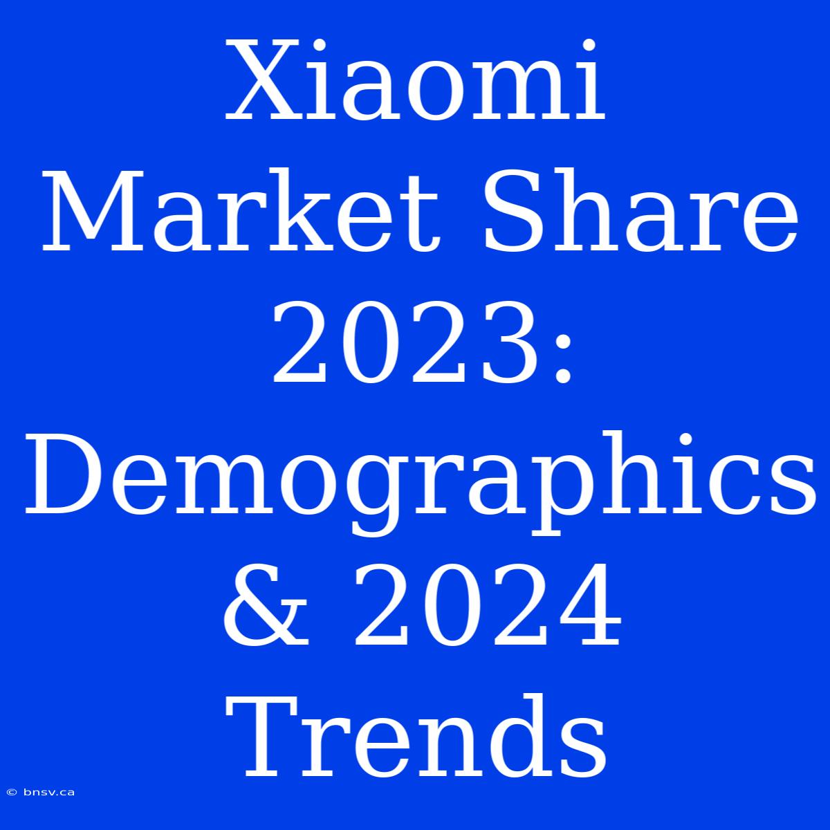 Xiaomi Market Share 2023: Demographics & 2024 Trends