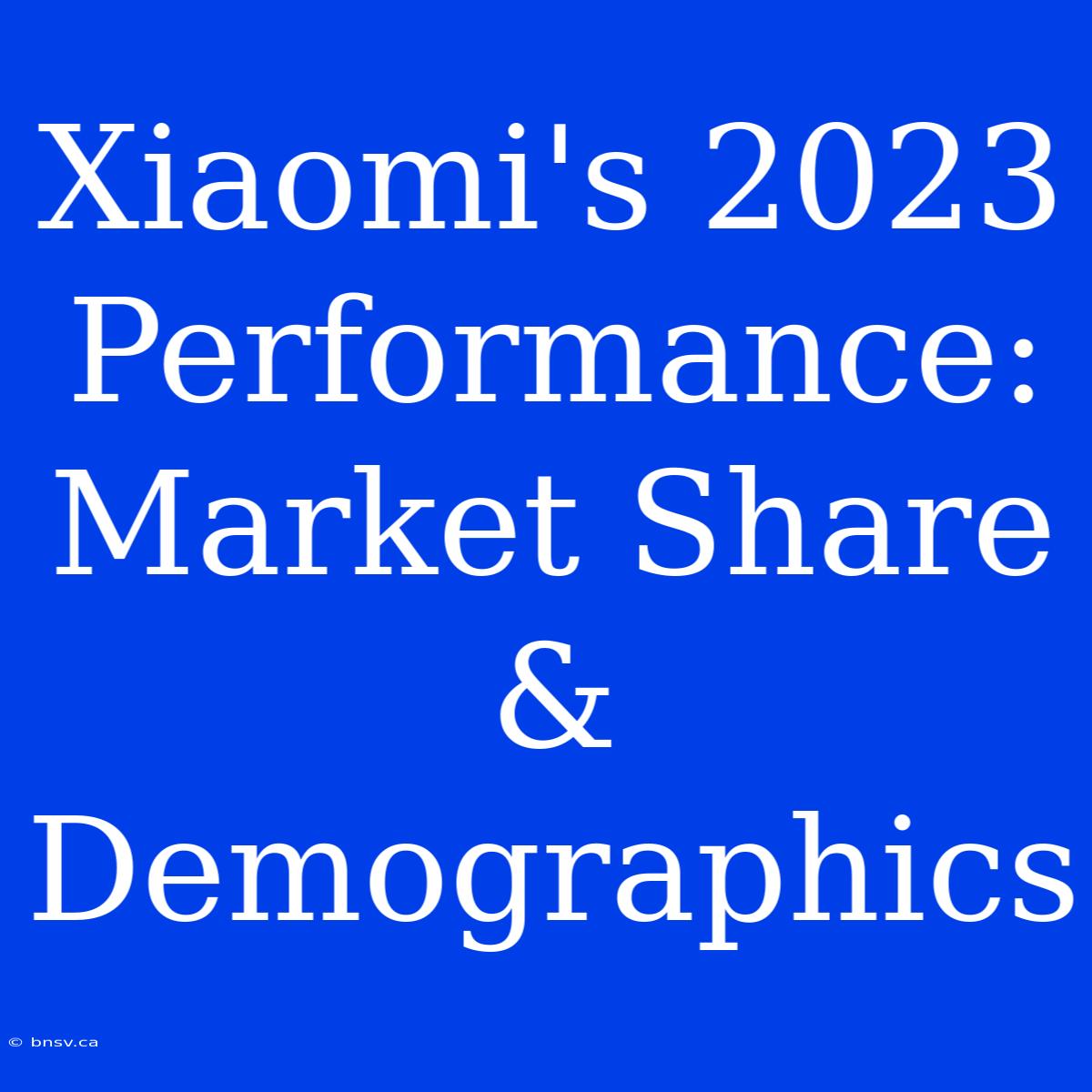 Xiaomi's 2023 Performance: Market Share & Demographics