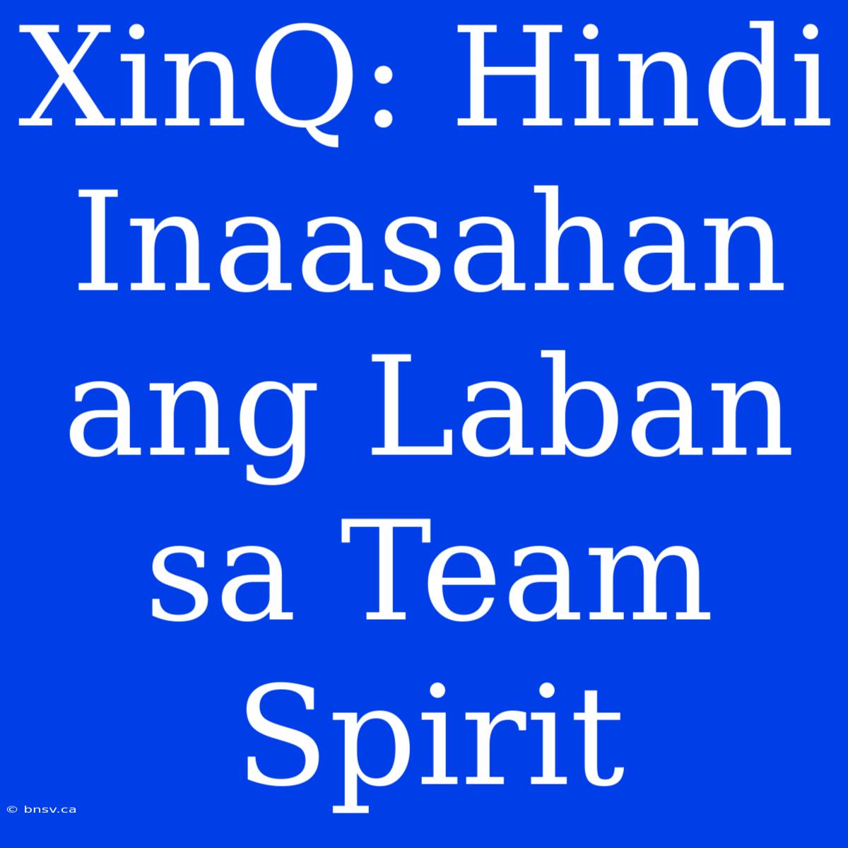 XinQ: Hindi Inaasahan Ang Laban Sa Team Spirit