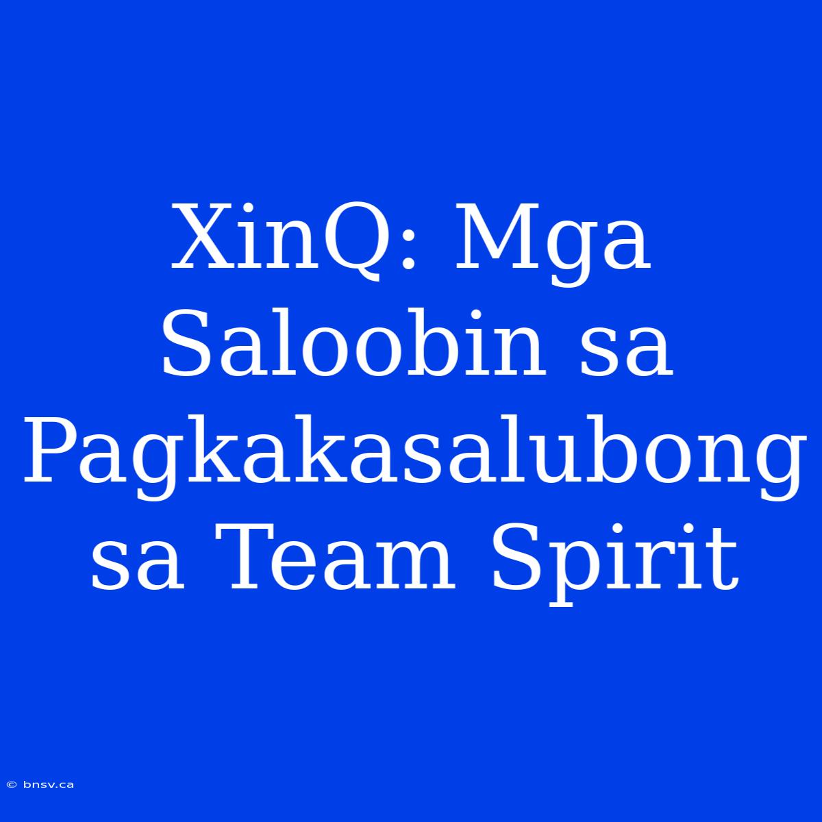 XinQ: Mga Saloobin Sa Pagkakasalubong Sa Team Spirit