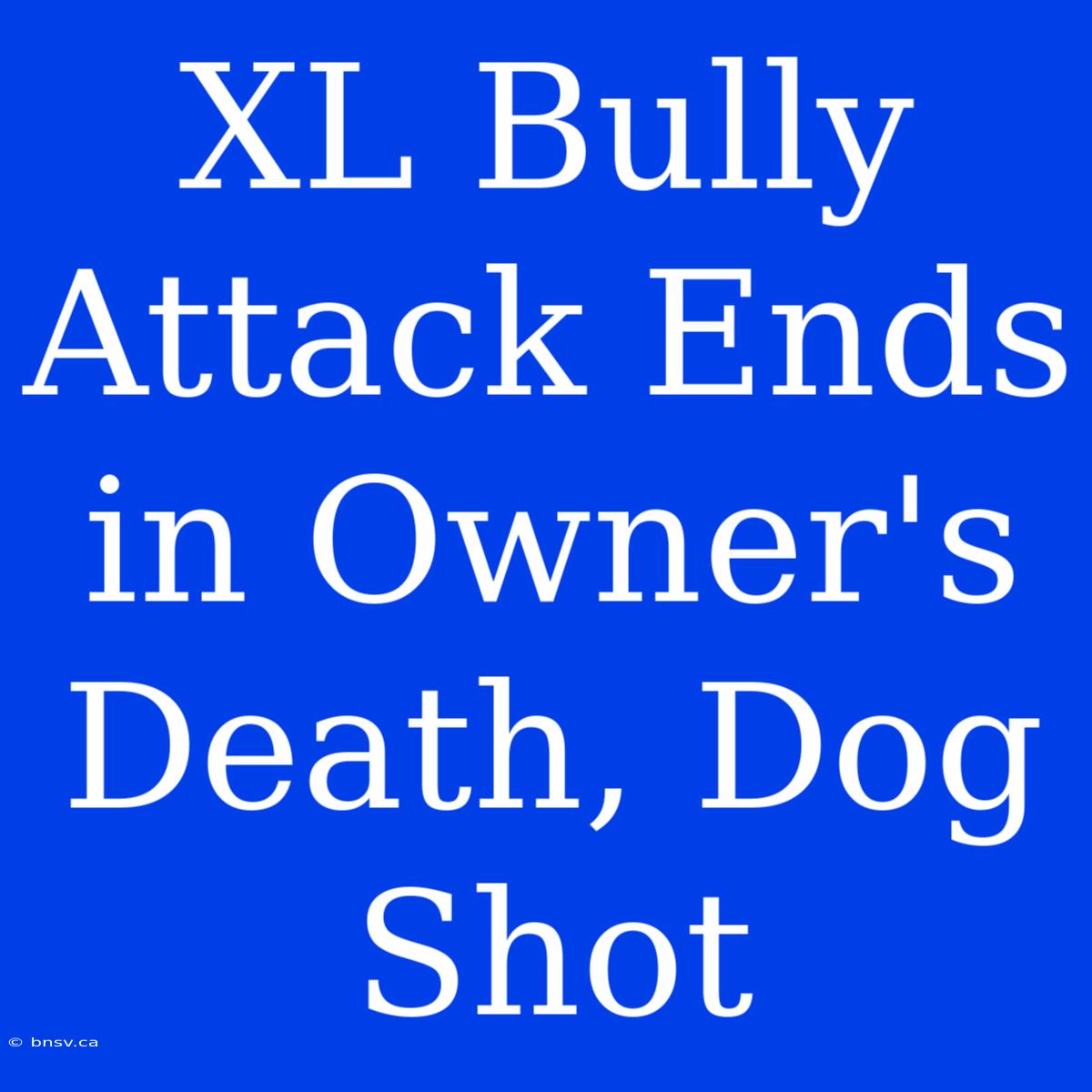 XL Bully Attack Ends In Owner's Death, Dog Shot