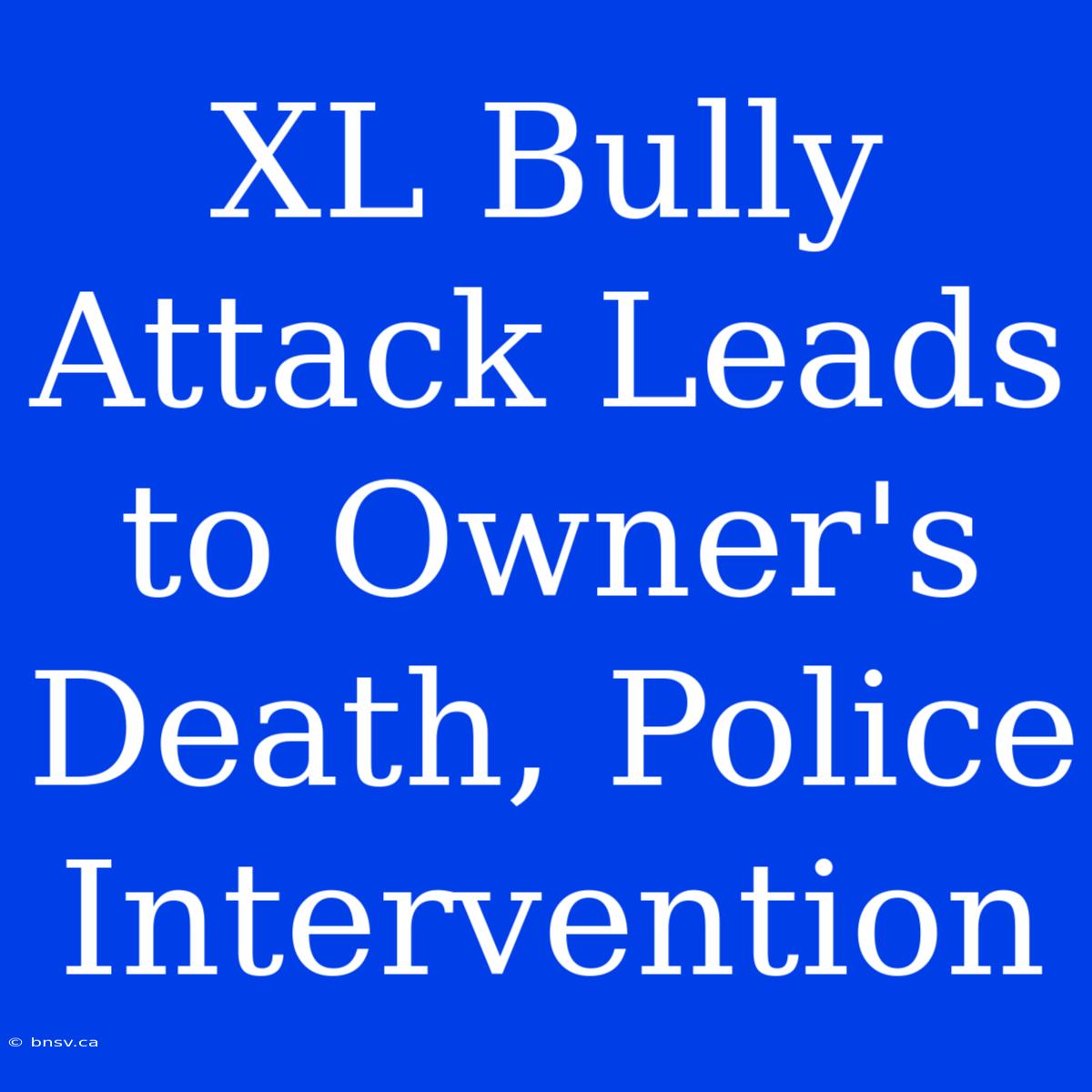 XL Bully Attack Leads To Owner's Death, Police Intervention