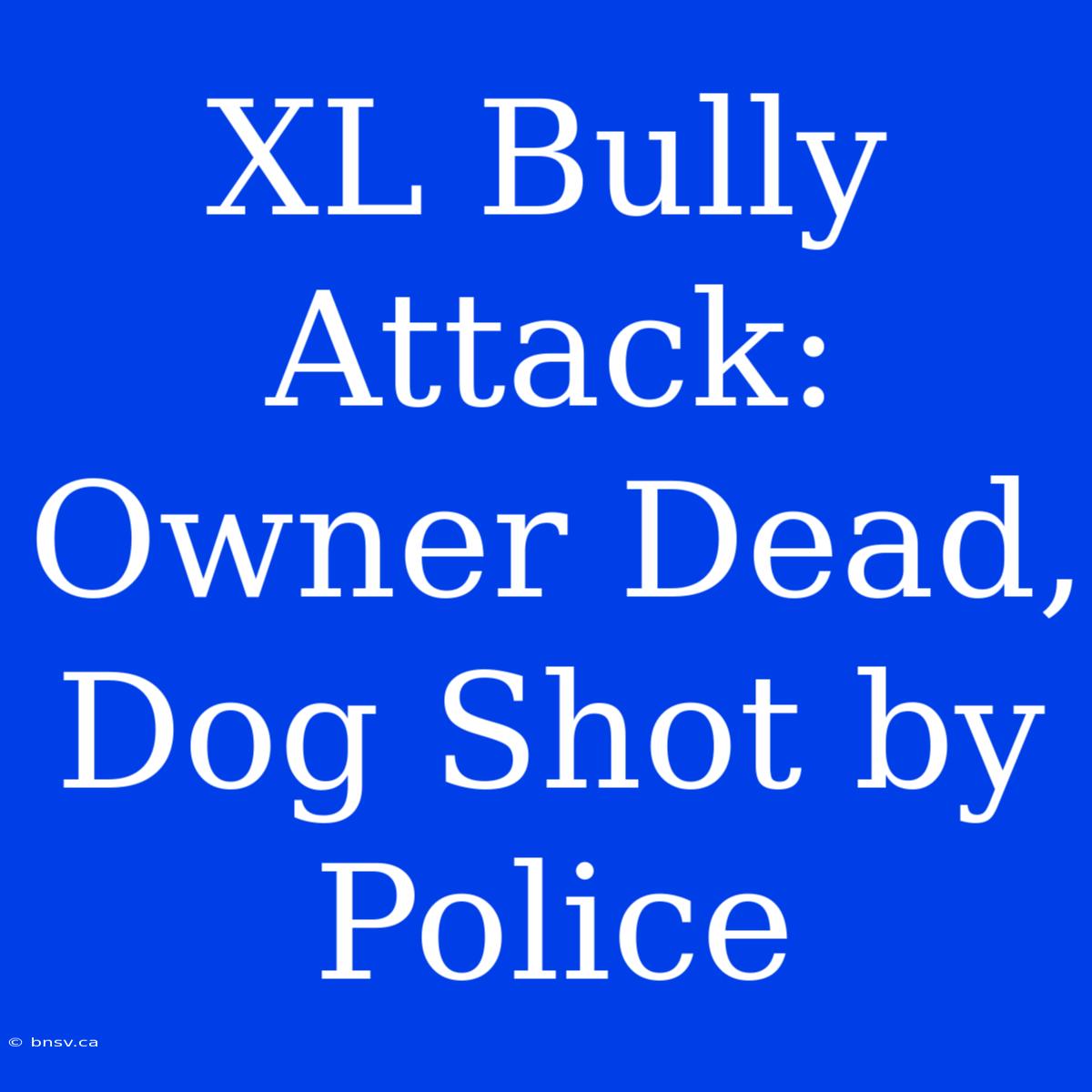 XL Bully Attack: Owner Dead, Dog Shot By Police