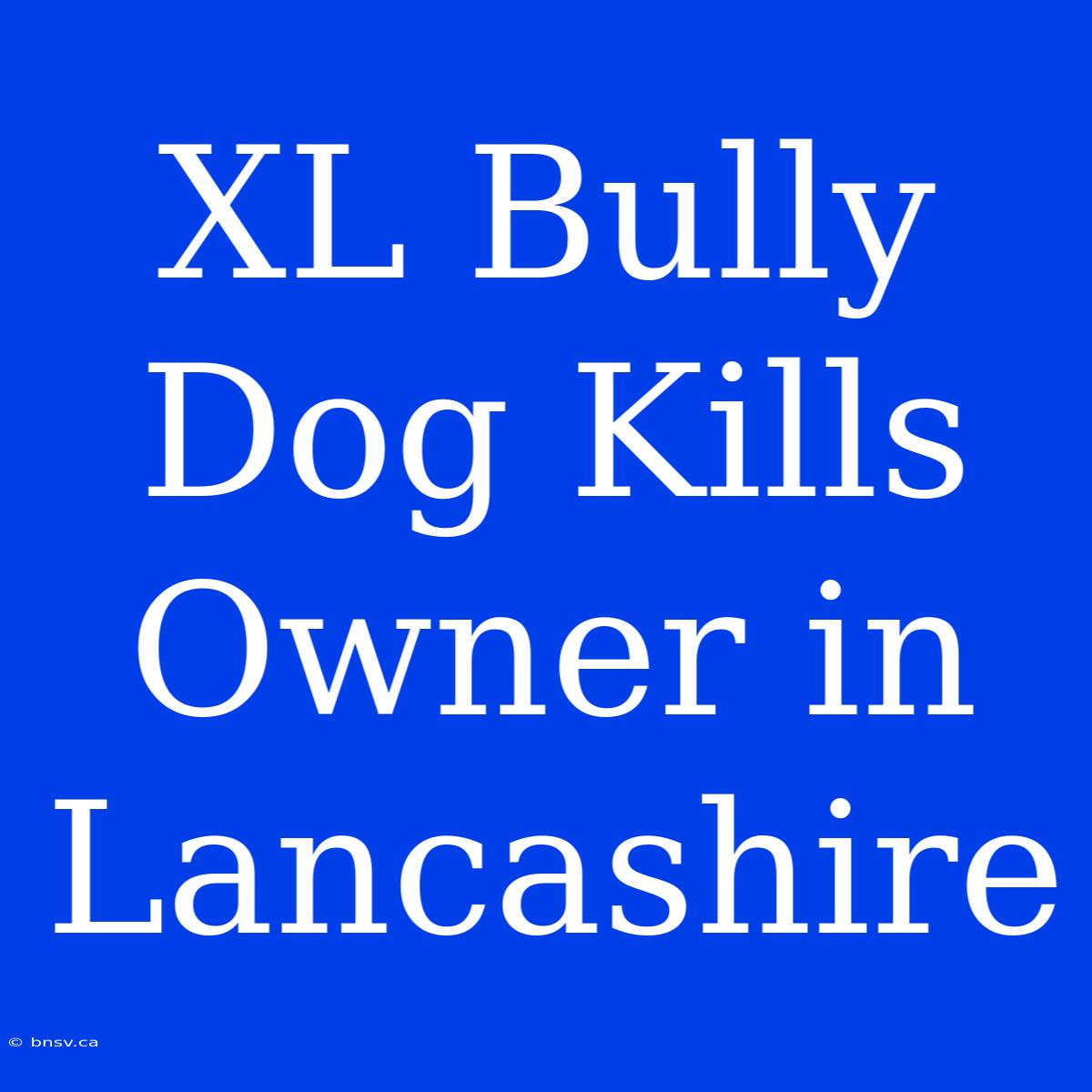 XL Bully Dog Kills Owner In Lancashire