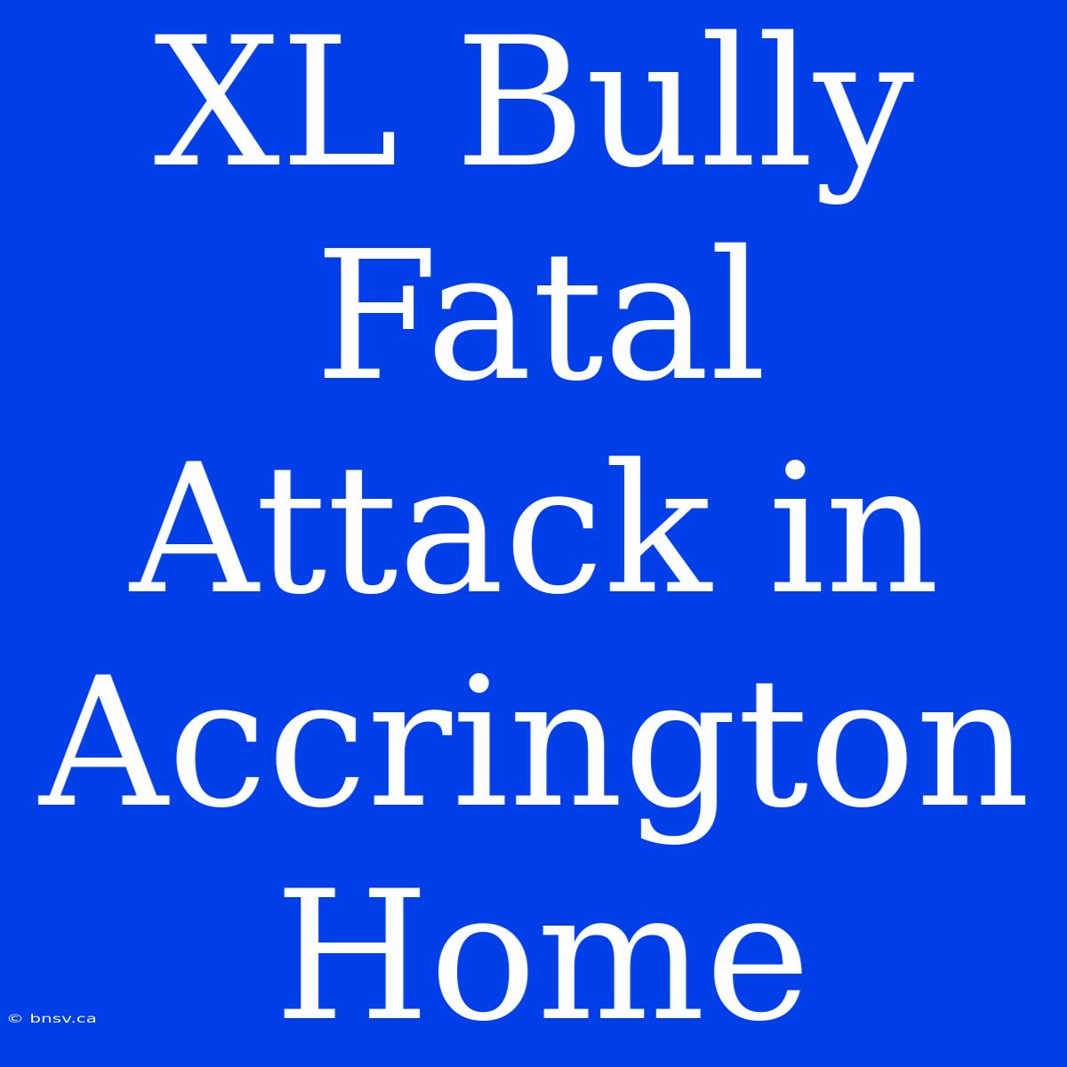 XL Bully Fatal Attack In Accrington Home