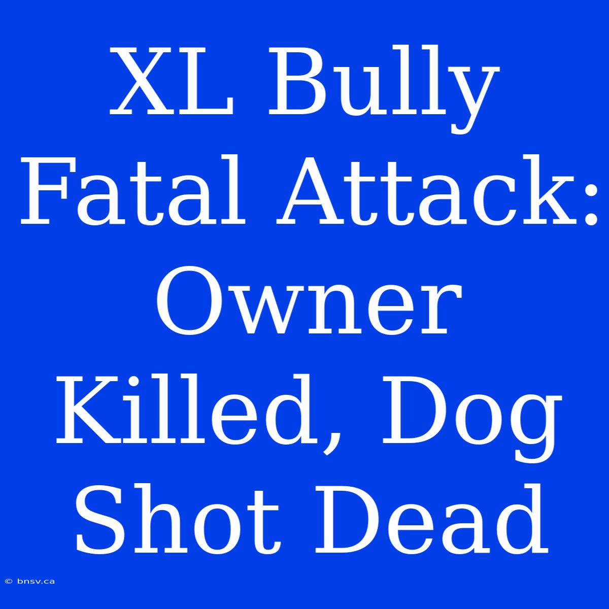 XL Bully Fatal Attack: Owner Killed, Dog Shot Dead