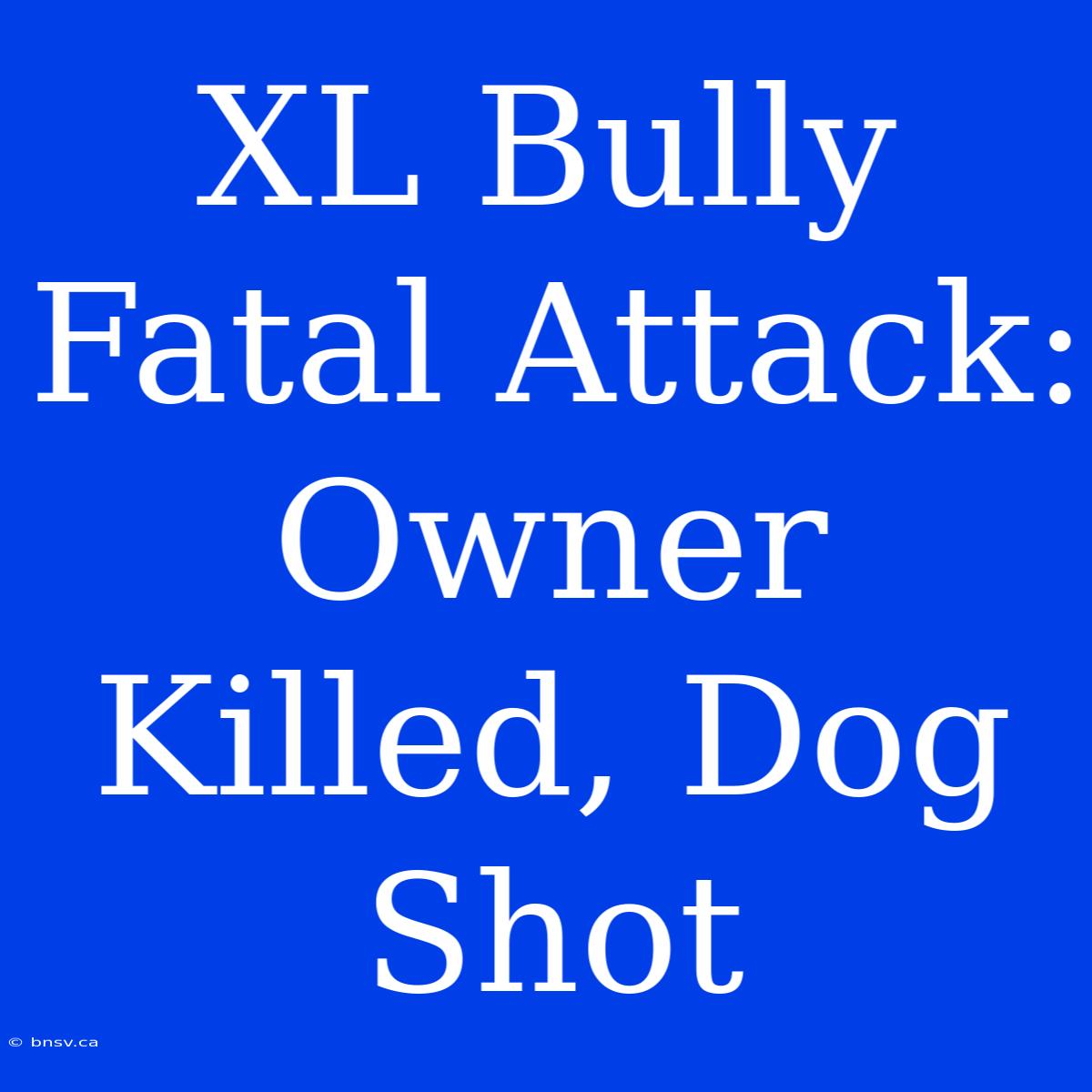 XL Bully Fatal Attack: Owner Killed, Dog Shot