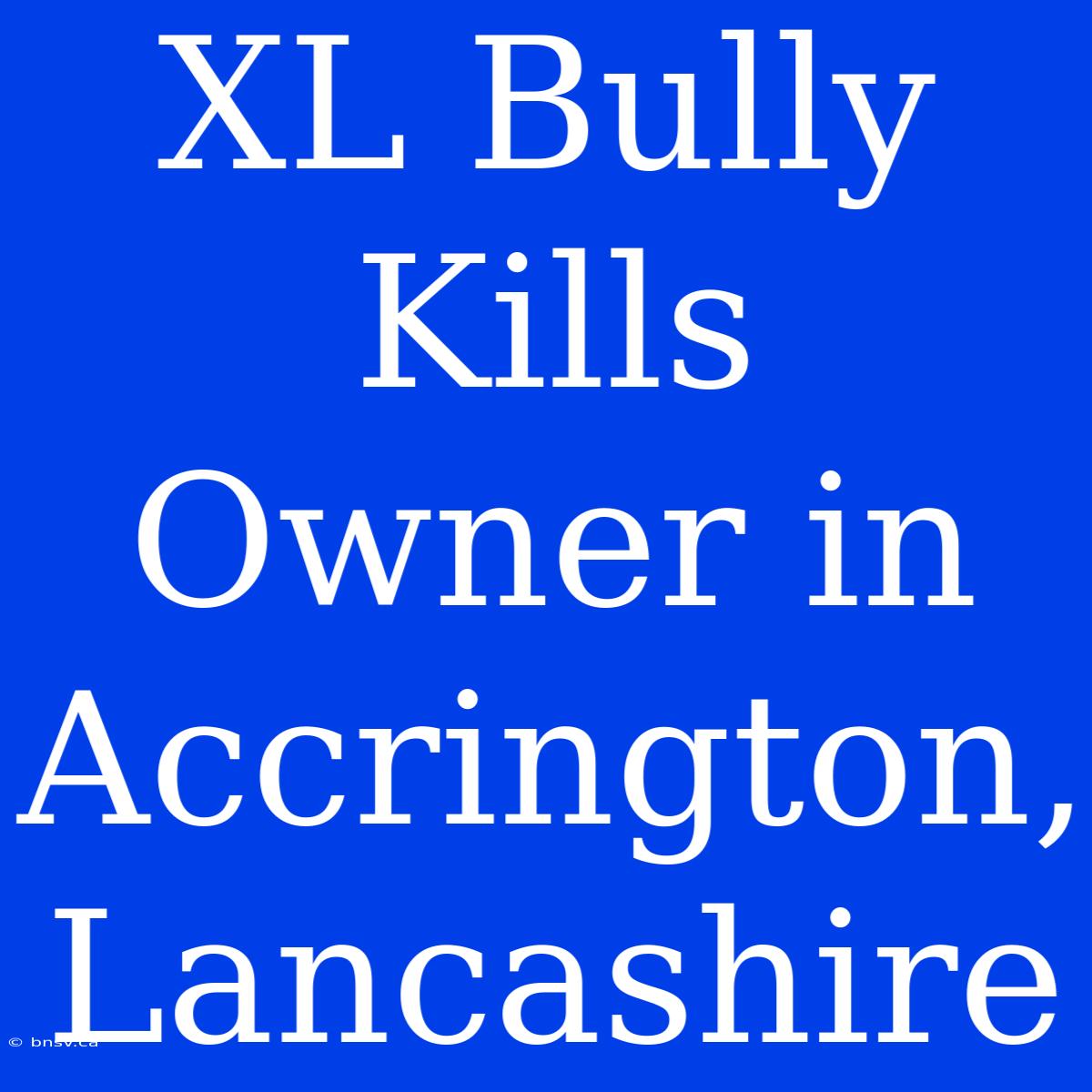 XL Bully Kills Owner In Accrington, Lancashire