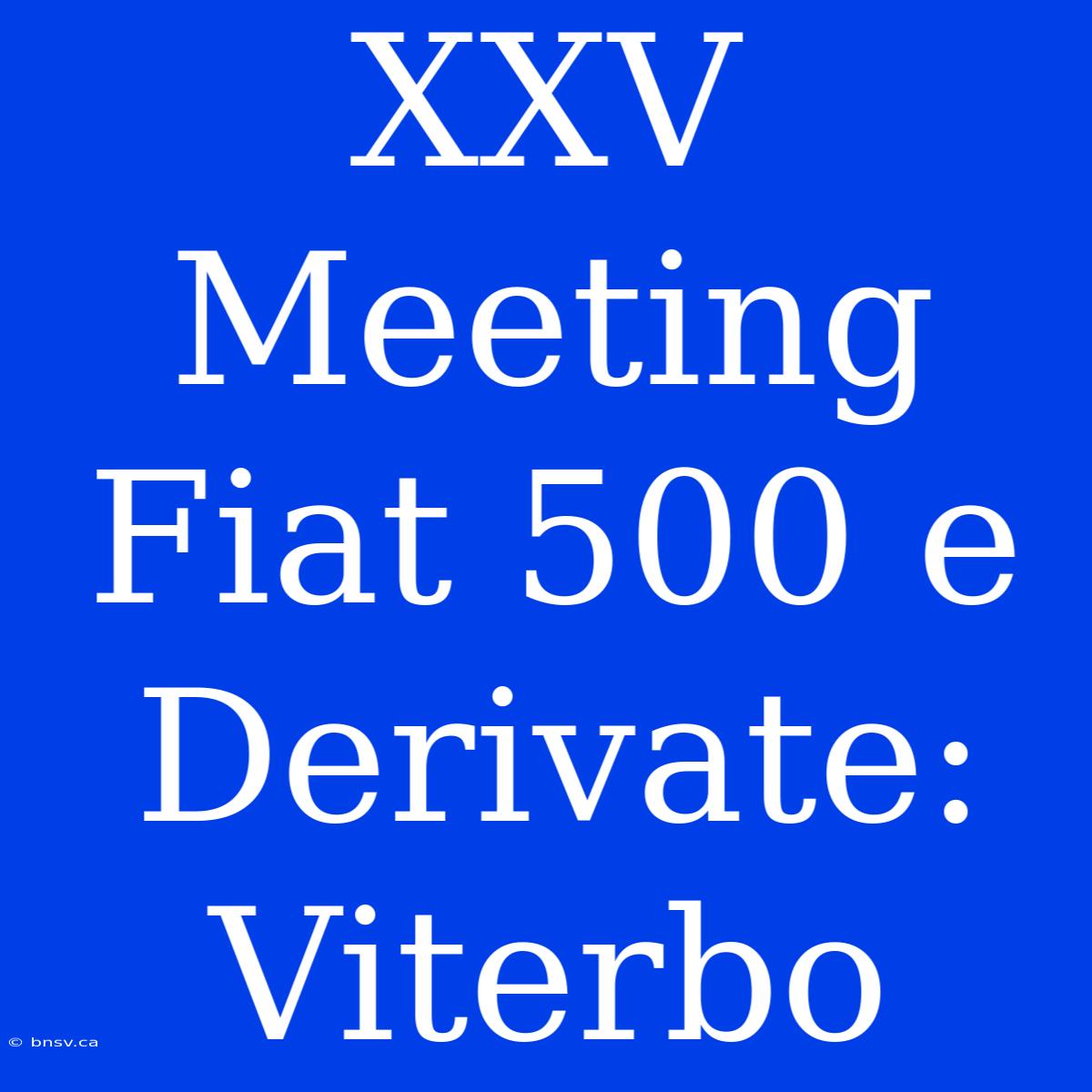 XXV Meeting Fiat 500 E Derivate: Viterbo