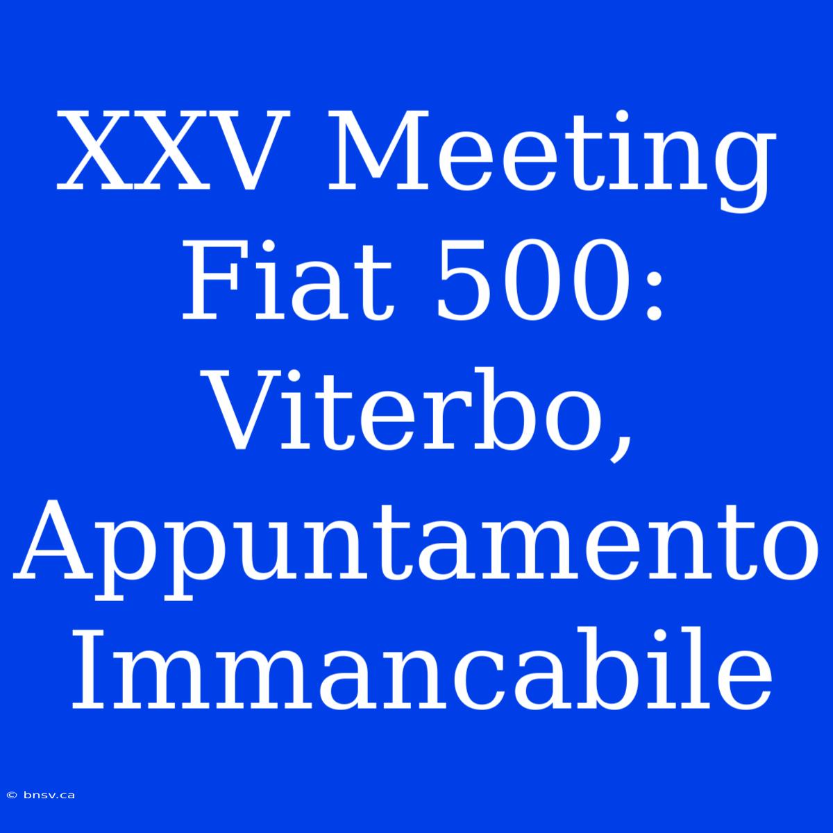 XXV Meeting Fiat 500: Viterbo, Appuntamento Immancabile