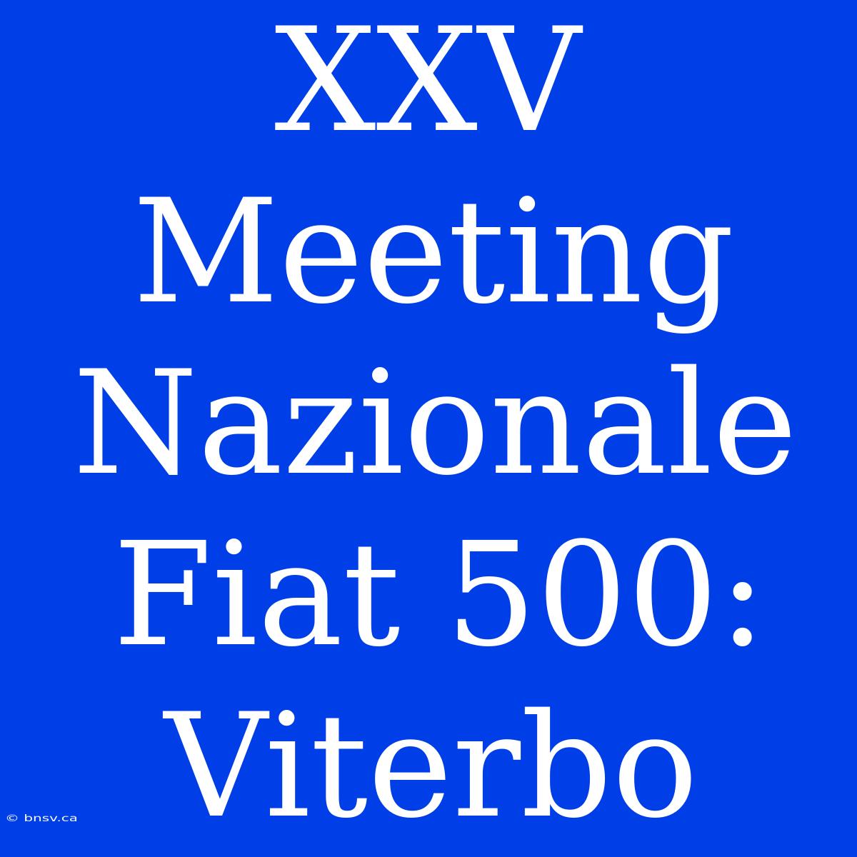 XXV Meeting Nazionale Fiat 500: Viterbo