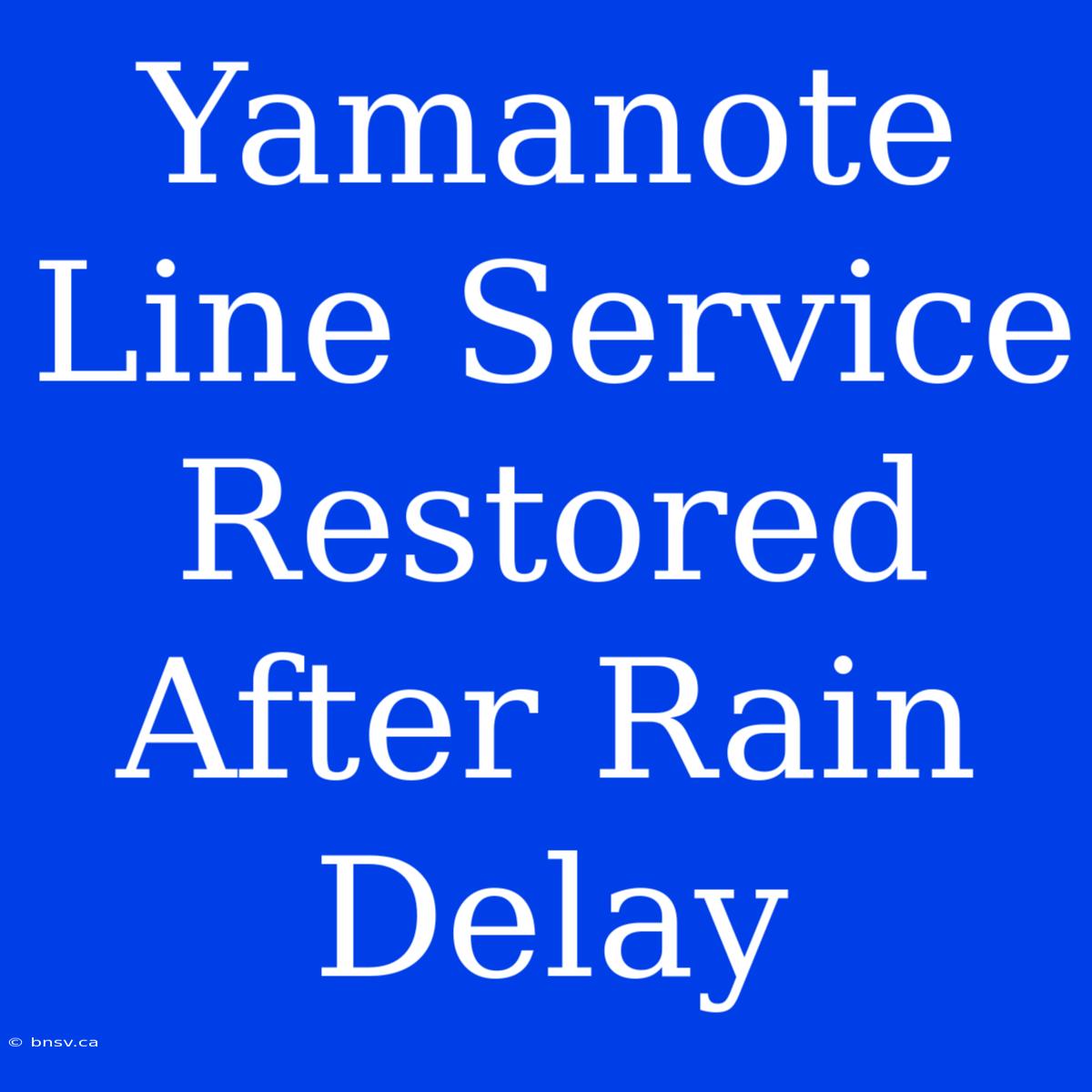 Yamanote Line Service Restored After Rain Delay