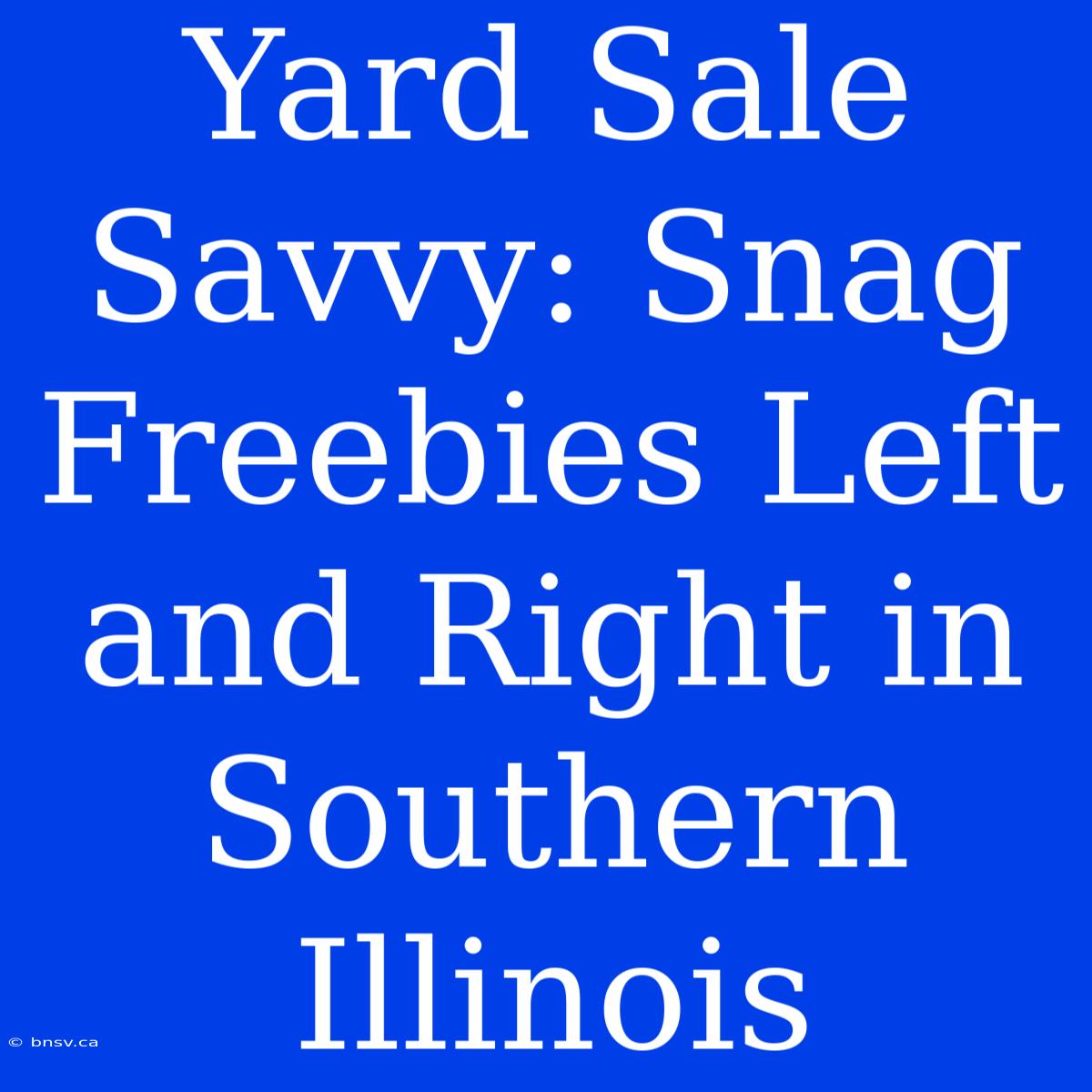 Yard Sale Savvy: Snag Freebies Left And Right In Southern Illinois