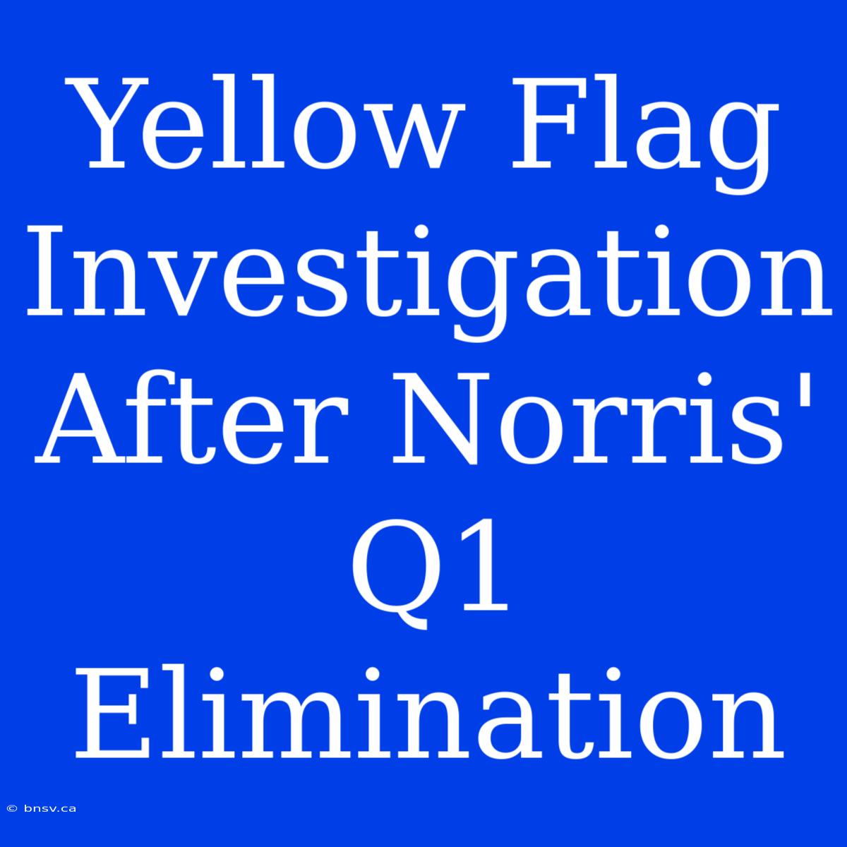 Yellow Flag Investigation After Norris' Q1 Elimination