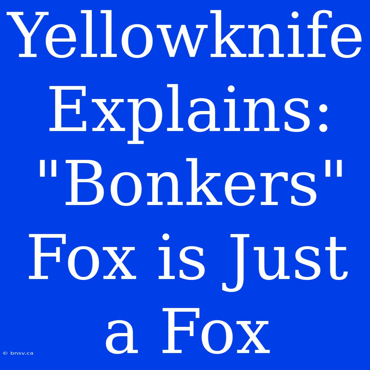 Yellowknife Explains: 