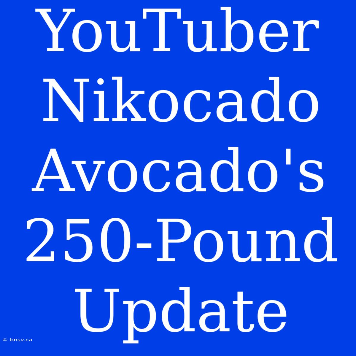 YouTuber Nikocado Avocado's 250-Pound Update