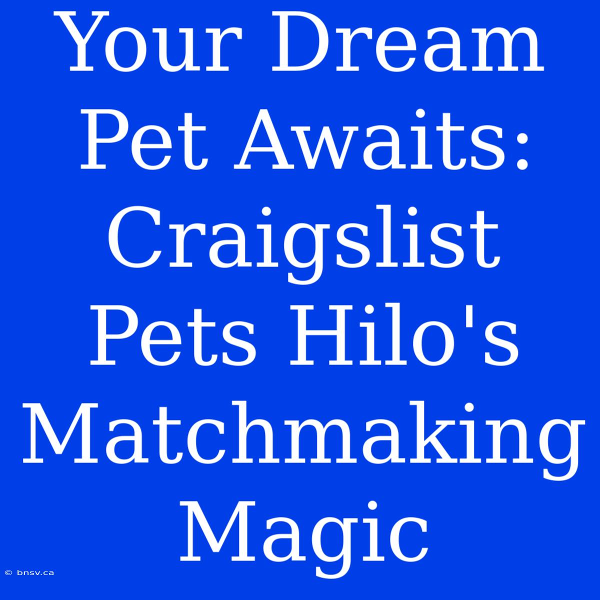 Your Dream Pet Awaits: Craigslist Pets Hilo's Matchmaking Magic