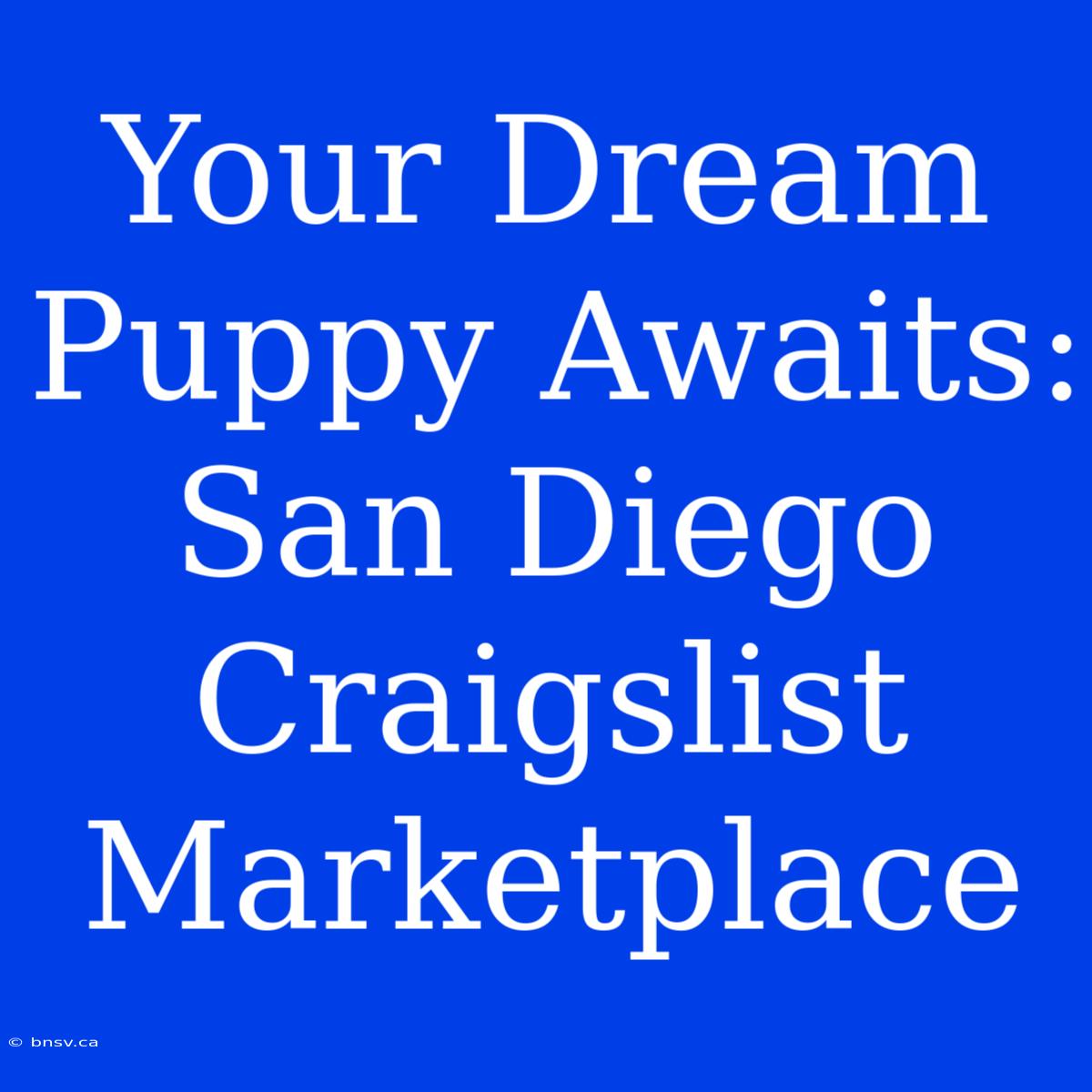 Your Dream Puppy Awaits: San Diego Craigslist Marketplace