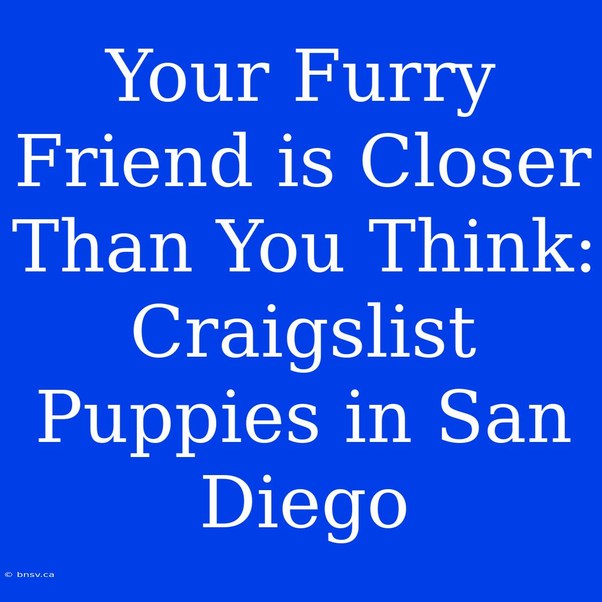 Your Furry Friend Is Closer Than You Think: Craigslist Puppies In San Diego