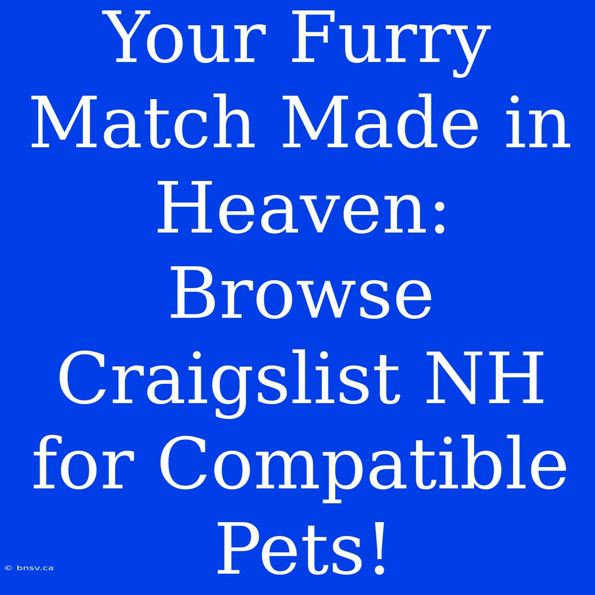 Your Furry Match Made In Heaven: Browse Craigslist NH For Compatible Pets!