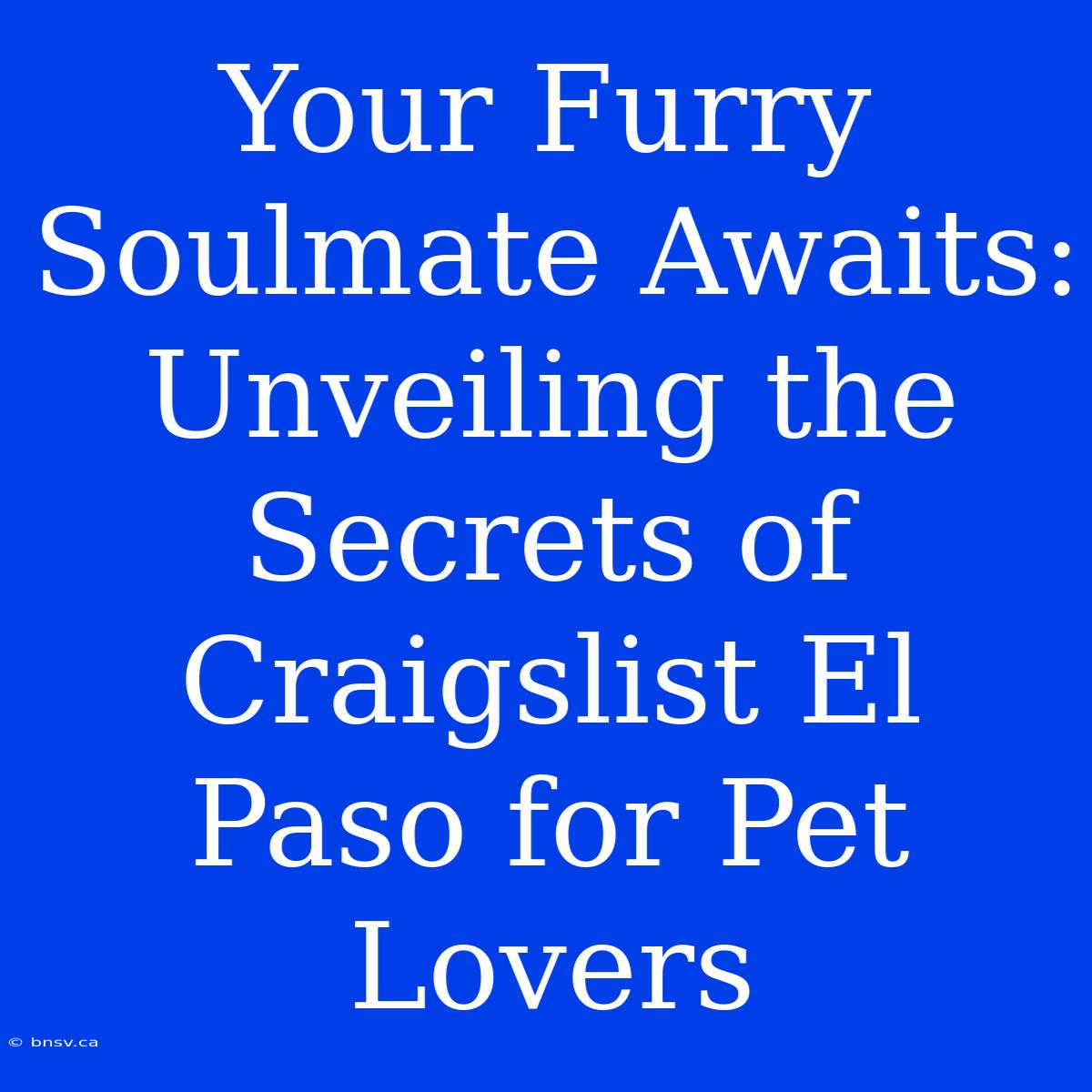 Your Furry Soulmate Awaits: Unveiling The Secrets Of Craigslist El Paso For Pet Lovers