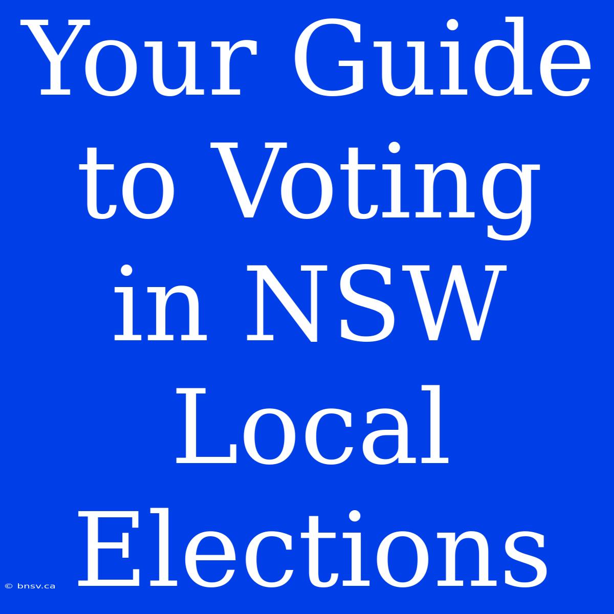 Your Guide To Voting In NSW Local Elections