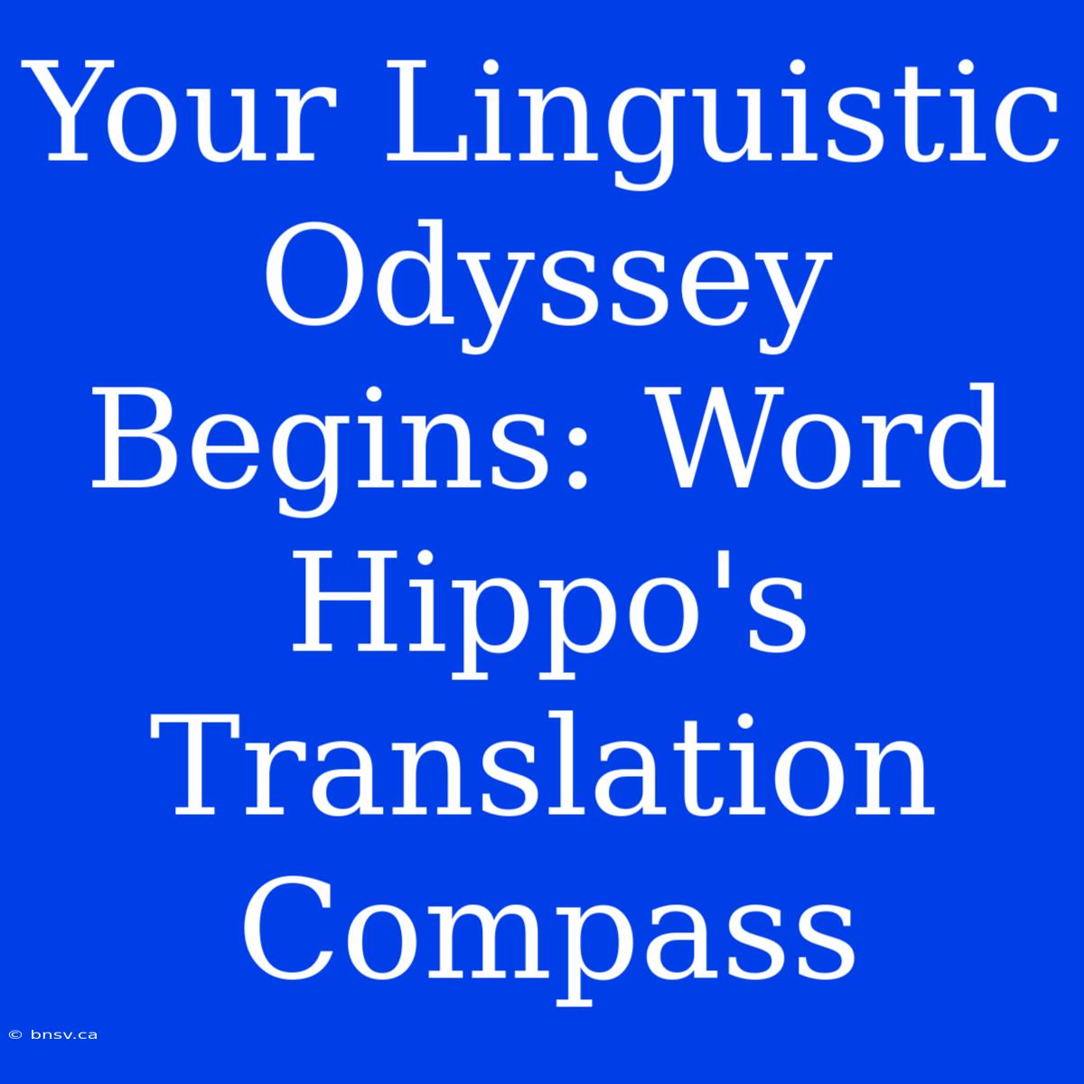 Your Linguistic Odyssey Begins: Word Hippo's Translation Compass