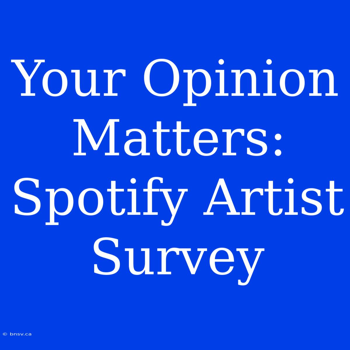 Your Opinion Matters: Spotify Artist Survey